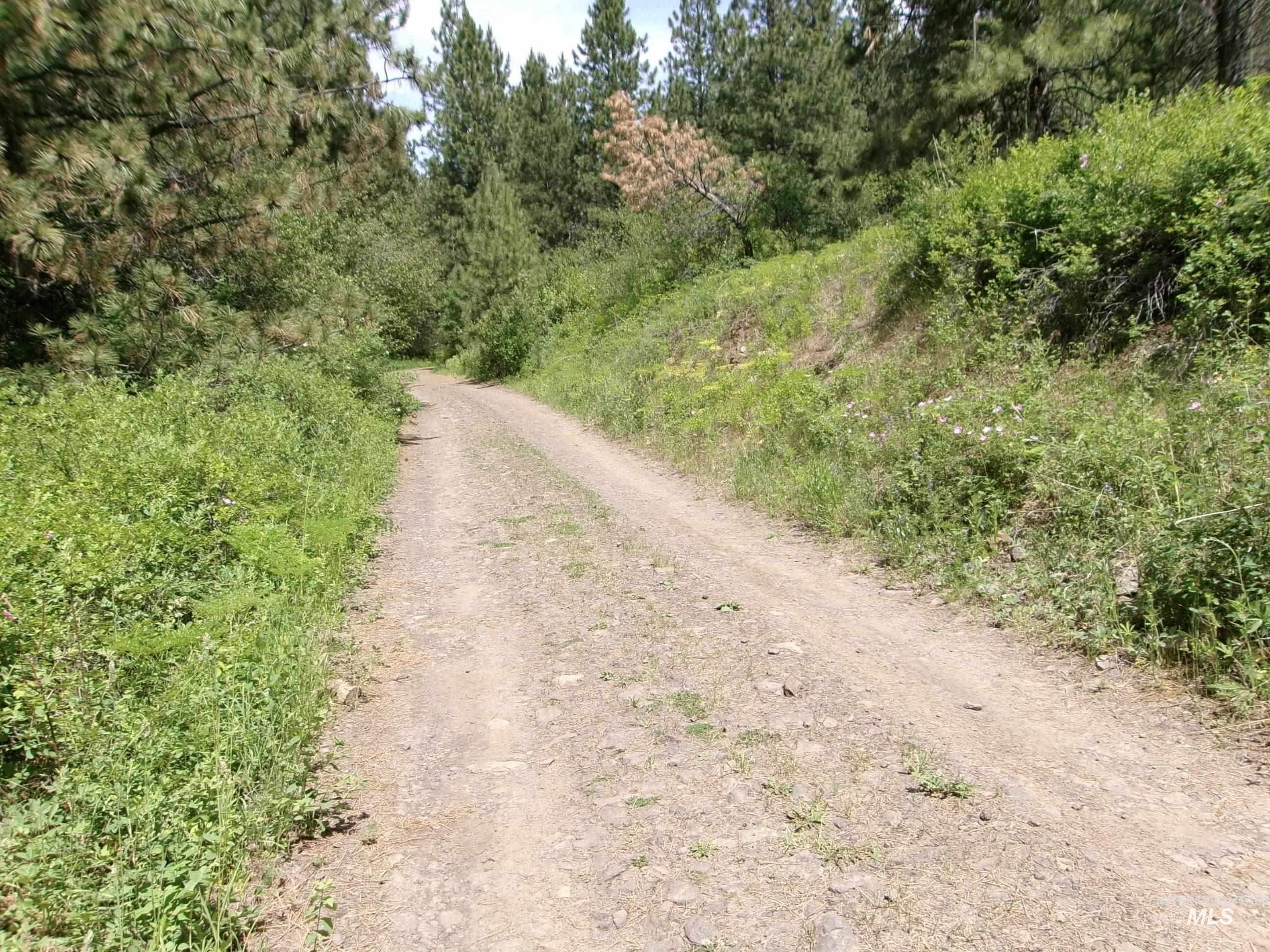 TBD Jackpine Rd, CottonWood, Idaho 83522, Land For Sale, Price $139,500, 98982935