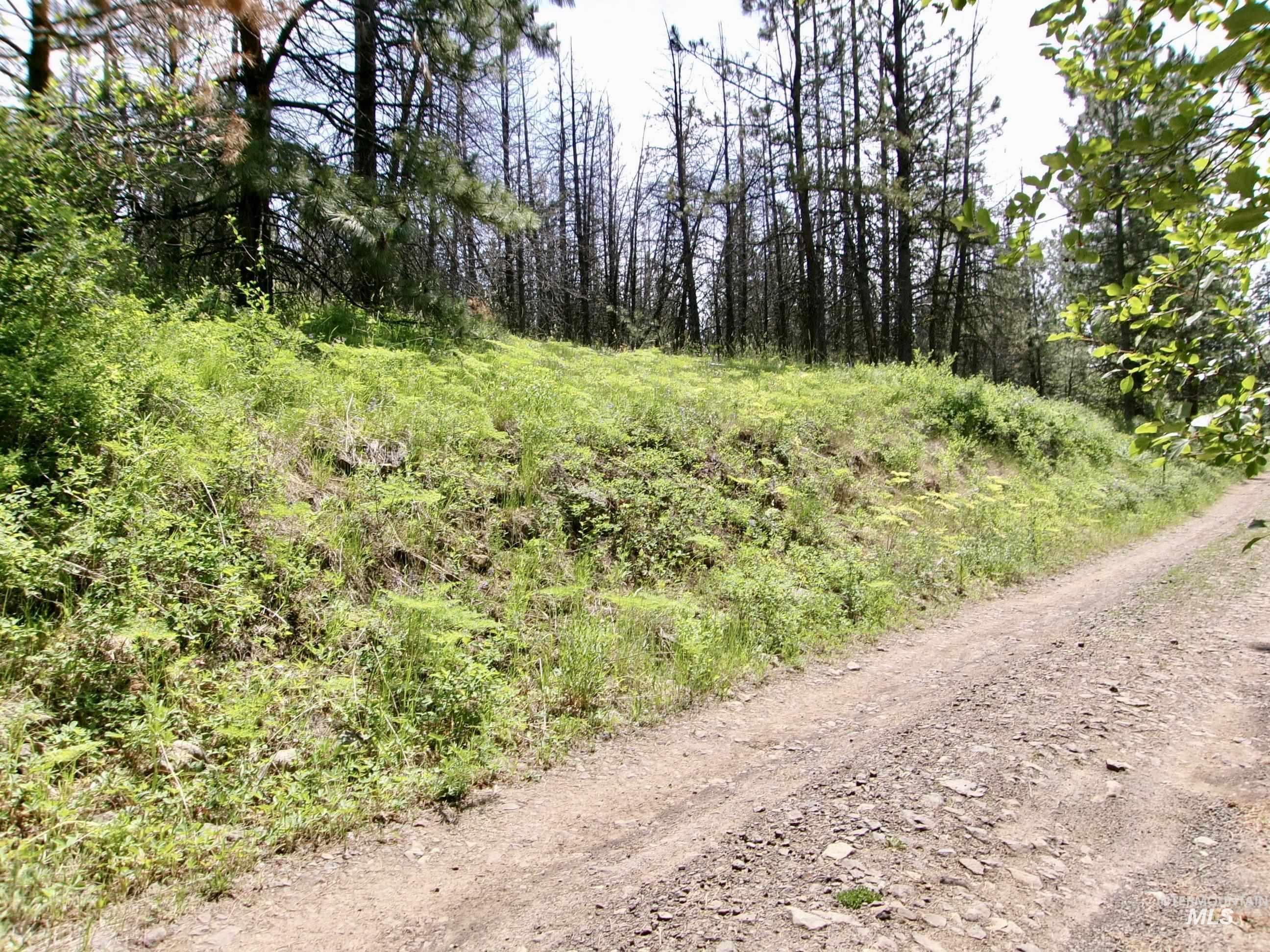 TBD Jackpine Rd, CottonWood, Idaho 83522, Land For Sale, Price $139,500, 98982935