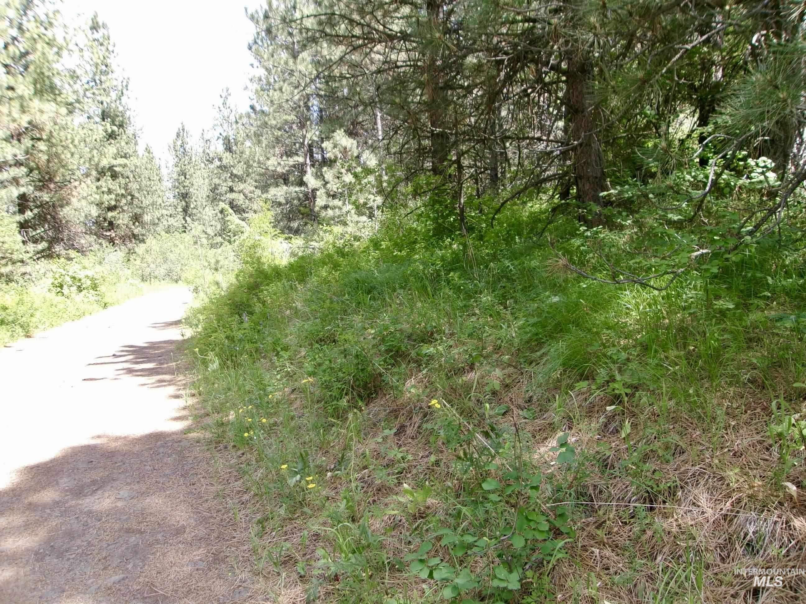 TBD Jackpine Rd, CottonWood, Idaho 83522, Land For Sale, Price $139,500, 98982935