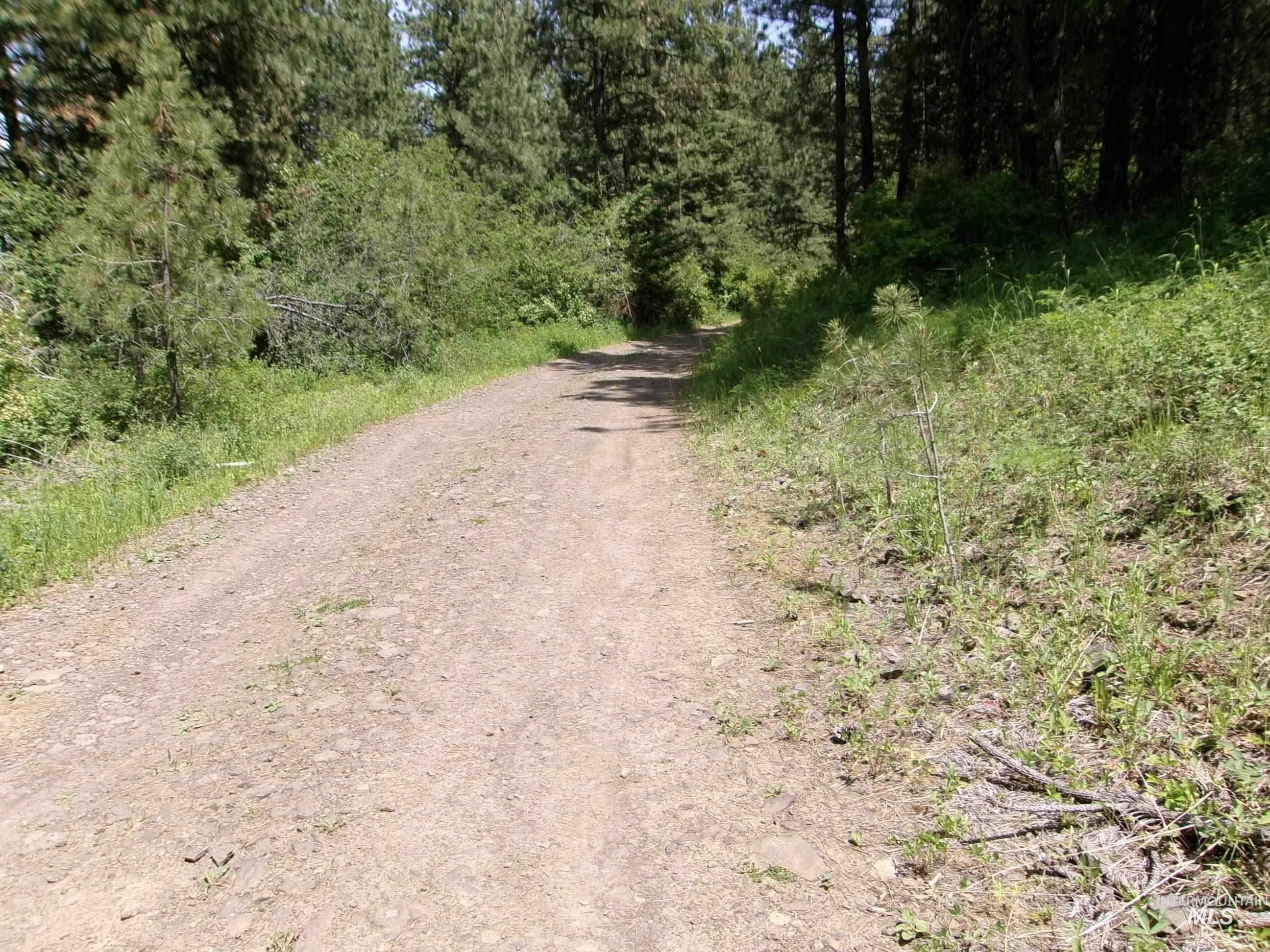 TBD Jackpine Rd, CottonWood, Idaho 83522, Land For Sale, Price $139,500, 98982935