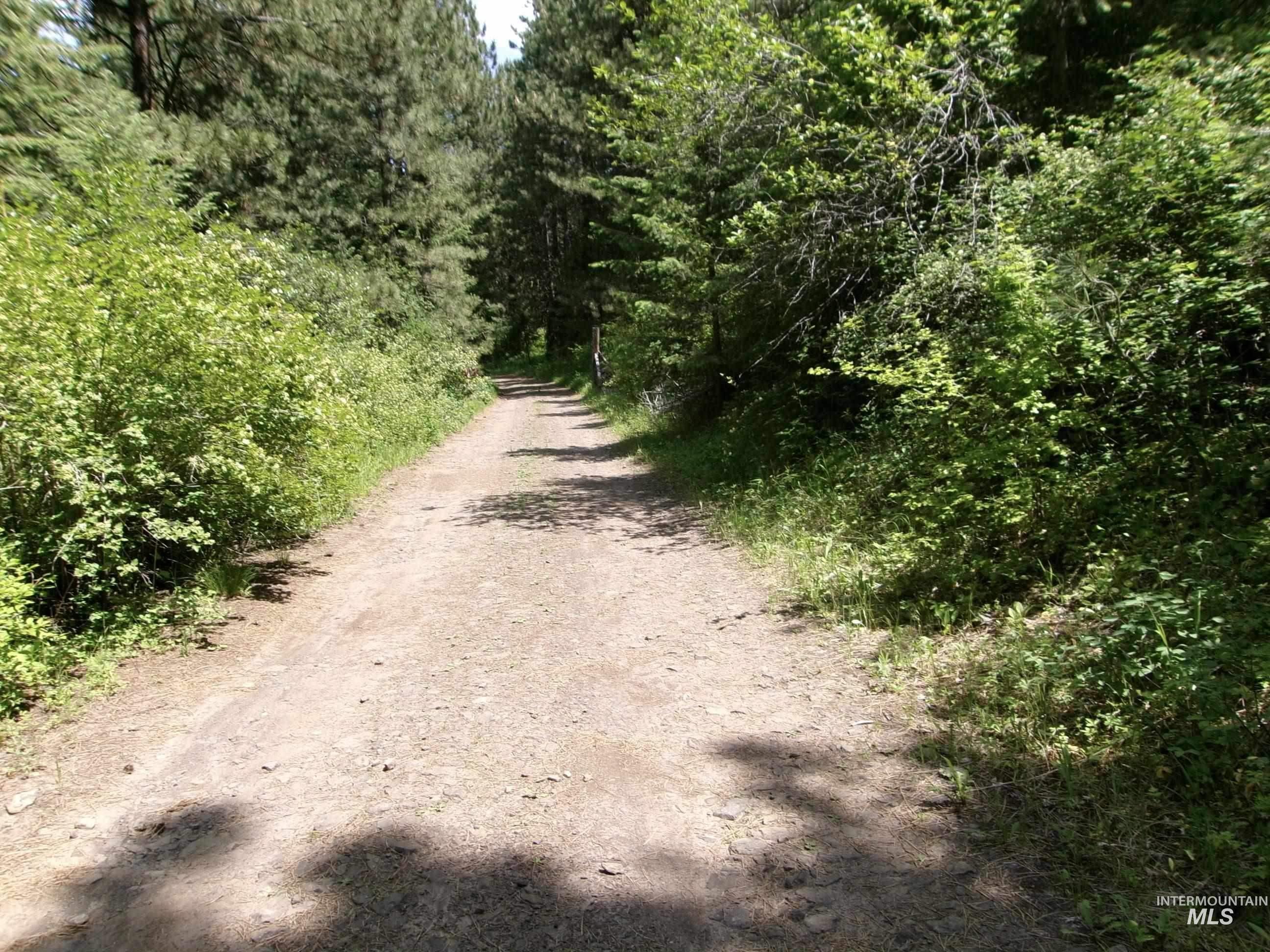 TBD Jackpine Rd, CottonWood, Idaho 83522, Land For Sale, Price $139,500, 98982935