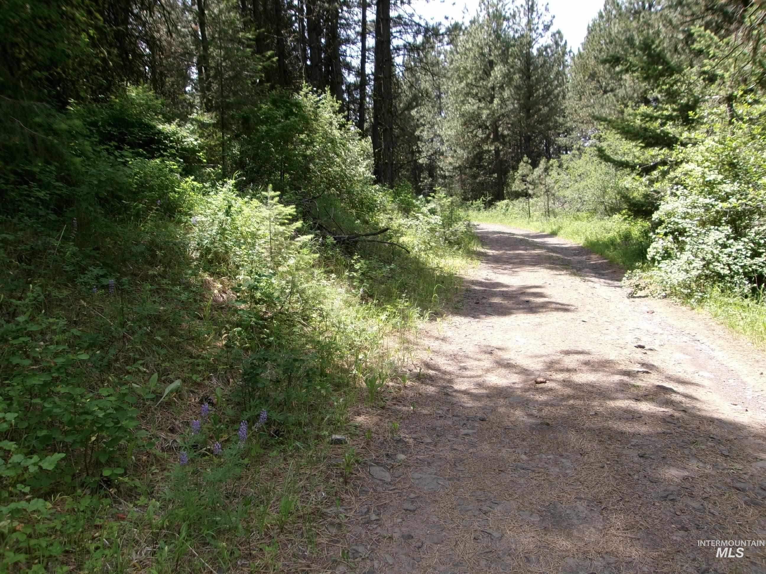 TBD Jackpine Rd, CottonWood, Idaho 83522, Land For Sale, Price $139,500, 98982935