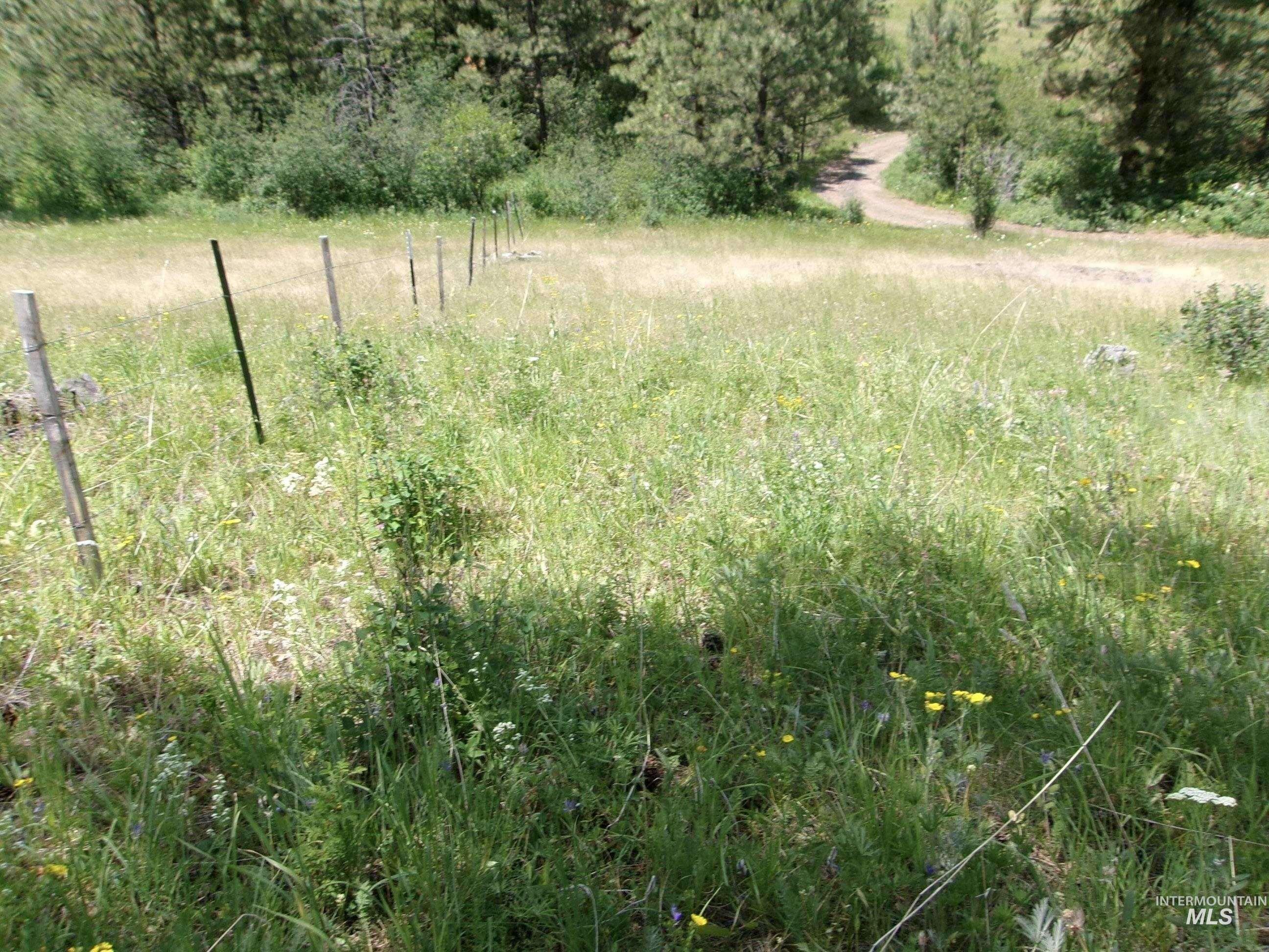 TBD Jackpine Rd, CottonWood, Idaho 83522, Land For Sale, Price $139,500, 98982935
