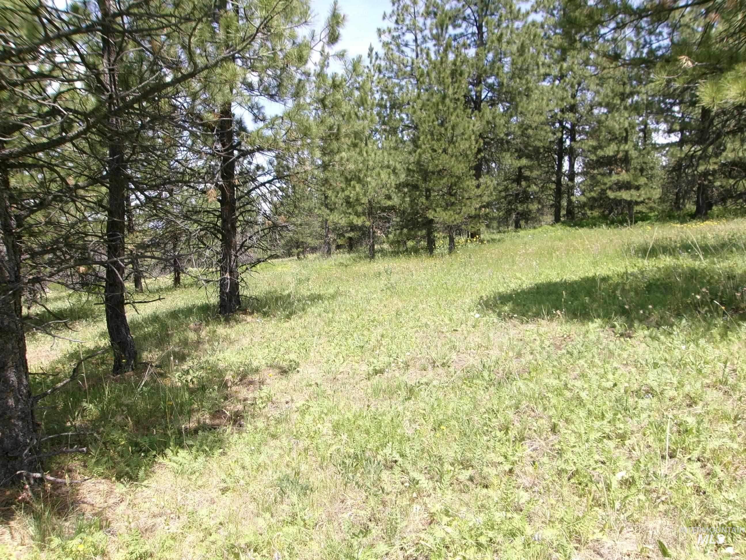TBD Jackpine Rd, CottonWood, Idaho 83522, Land For Sale, Price $139,500, 98982935