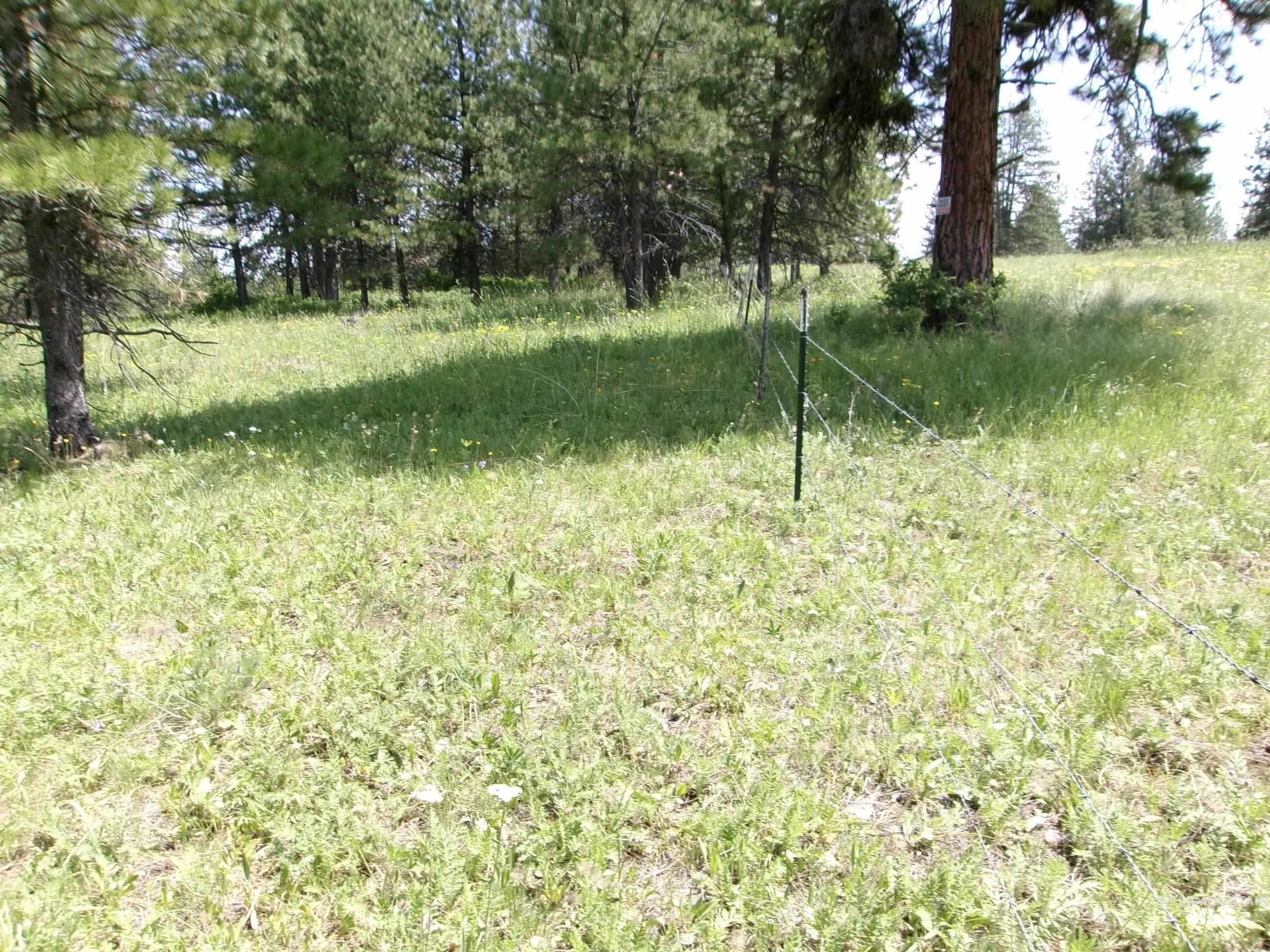 TBD Jackpine Rd, CottonWood, Idaho 83522, Land For Sale, Price $139,500, 98982935