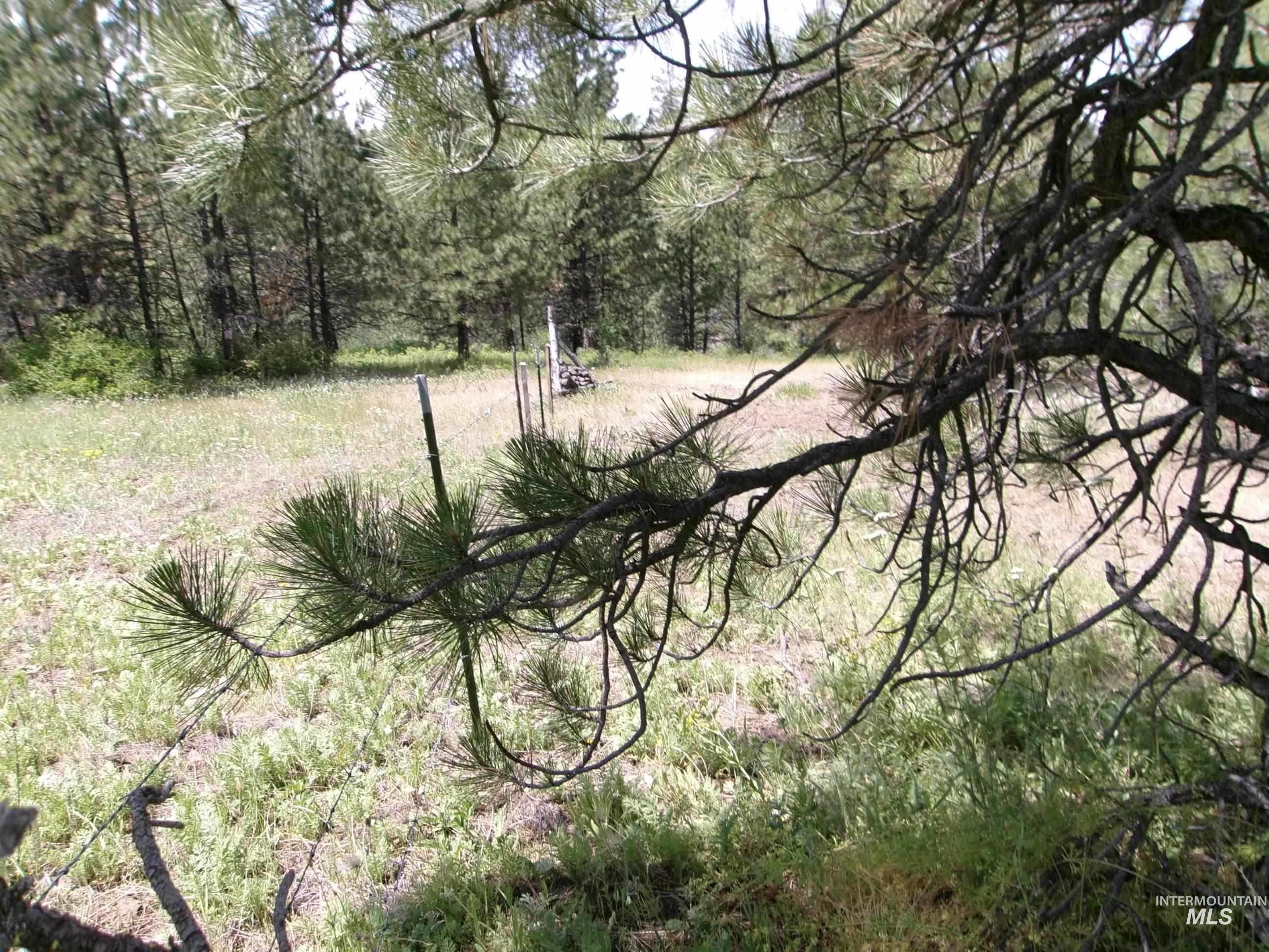 TBD Jackpine Rd, CottonWood, Idaho 83522, Land For Sale, Price $139,500, 98982935