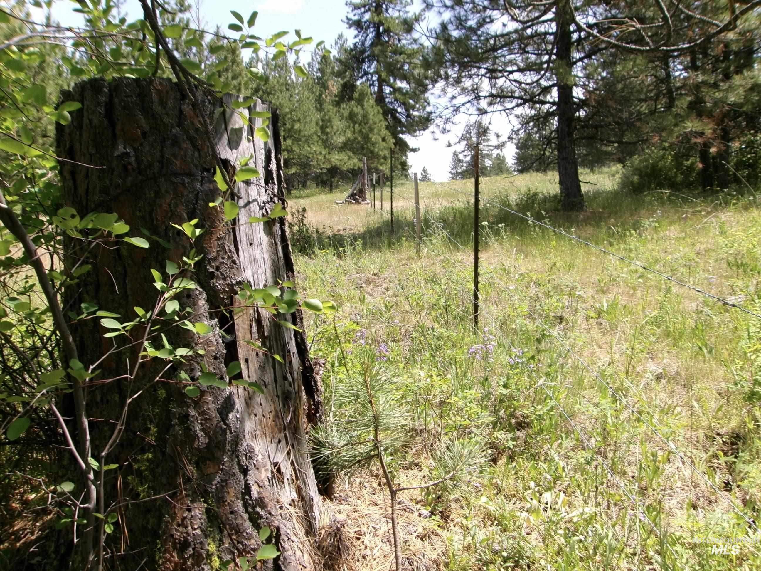 TBD Jackpine Rd, CottonWood, Idaho 83522, Land For Sale, Price $139,500, 98982935