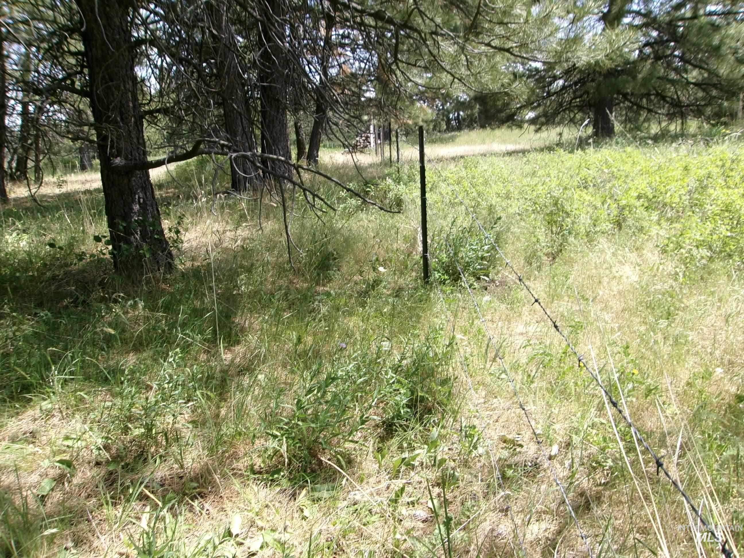 TBD Jackpine Rd, CottonWood, Idaho 83522, Land For Sale, Price $139,500, 98982935