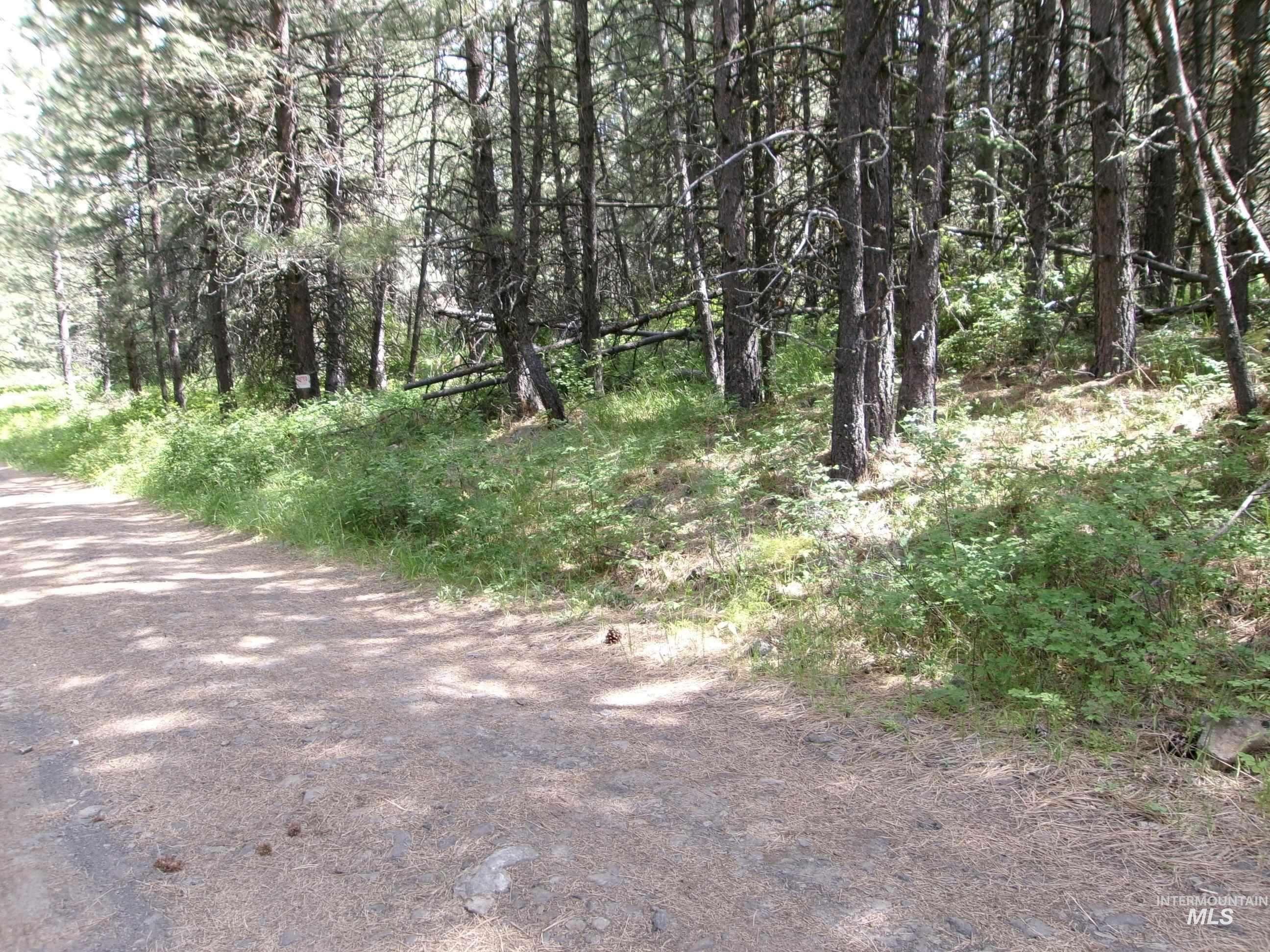 TBD Jackpine Rd, CottonWood, Idaho 83522, Land For Sale, Price $139,500, 98982935