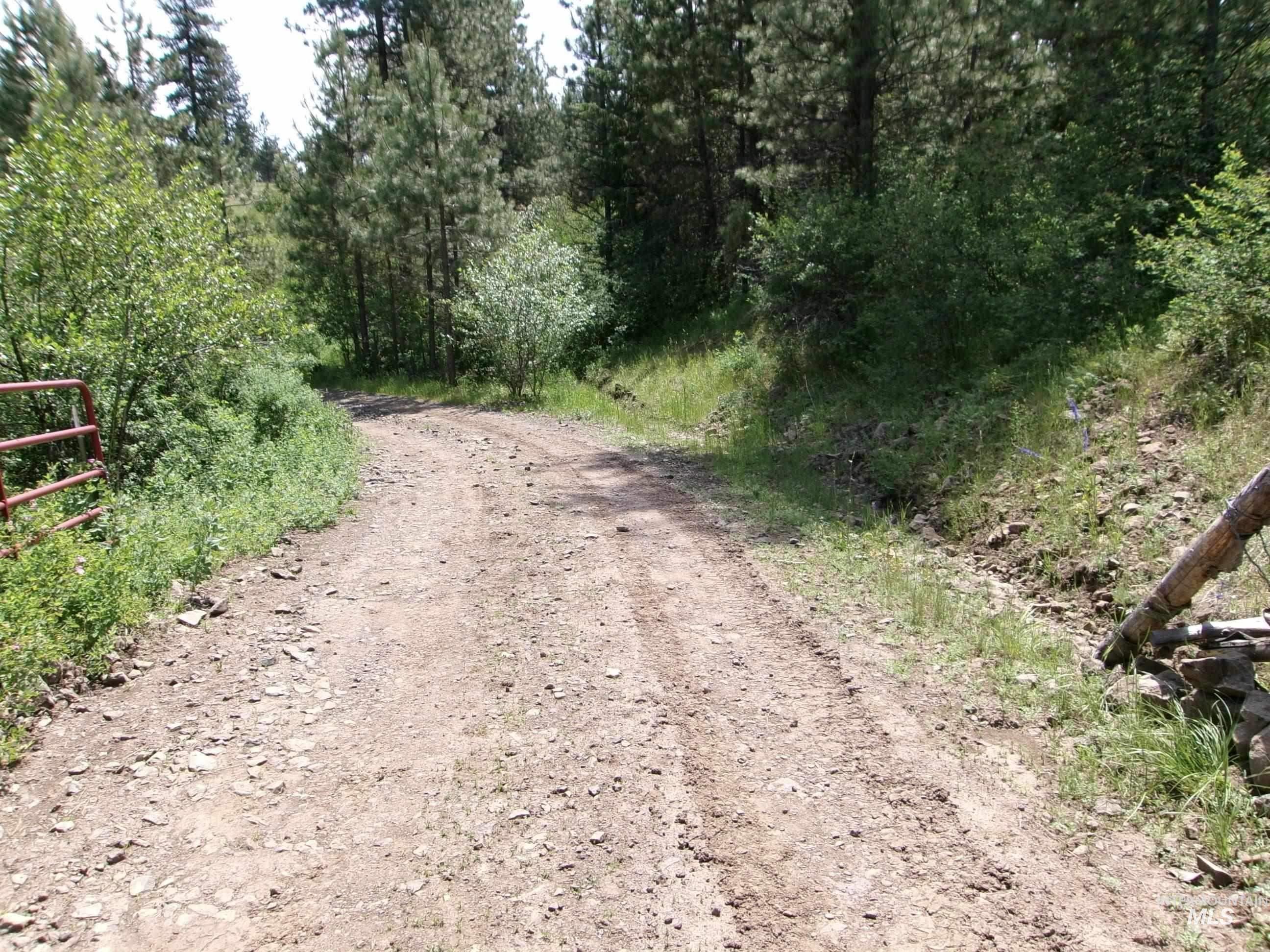 TBD Jackpine Rd, CottonWood, Idaho 83522, Land For Sale, Price $139,500, 98982935