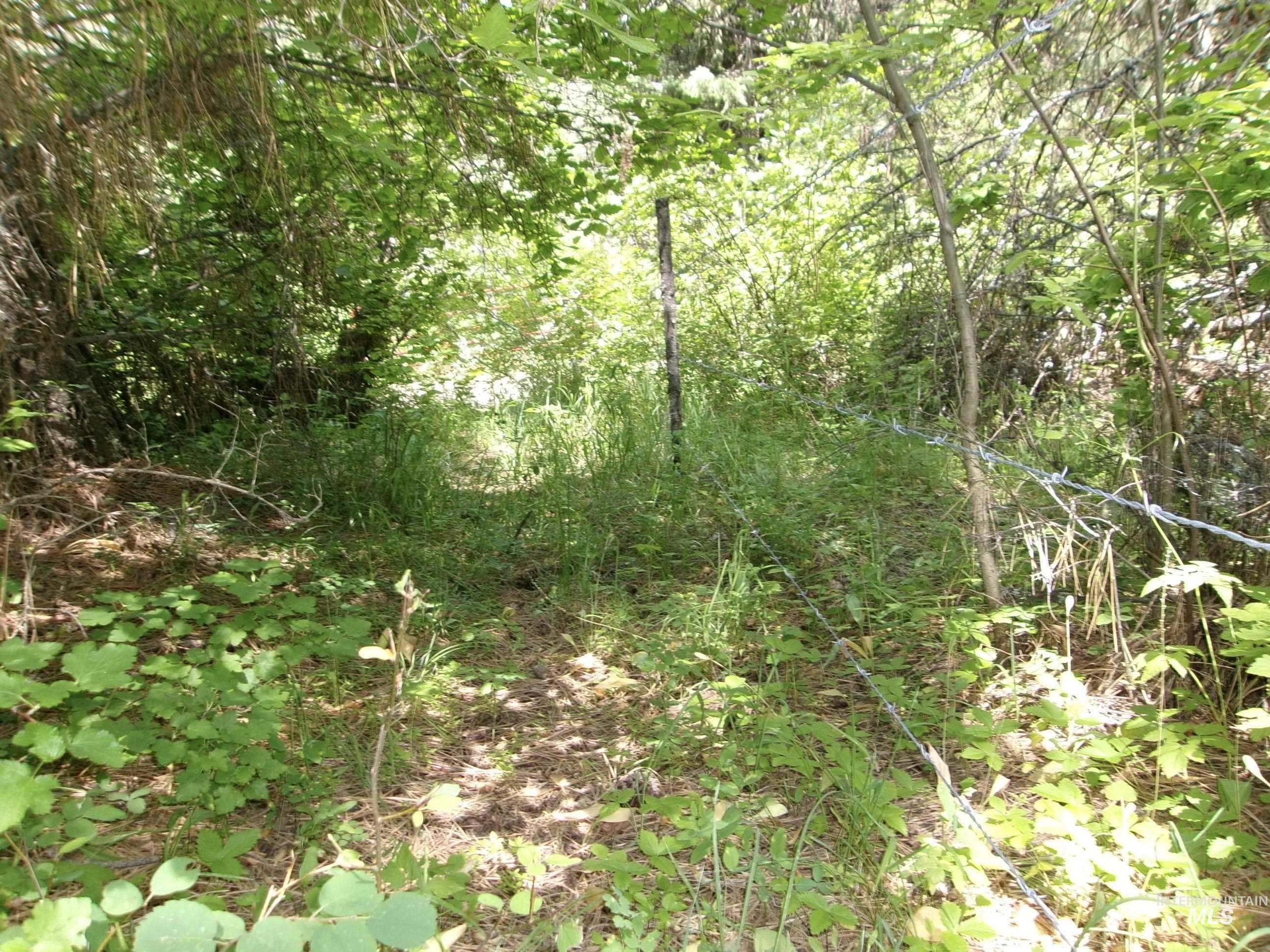 TBD Jackpine Rd, CottonWood, Idaho 83522, Land For Sale, Price $139,500, 98982935