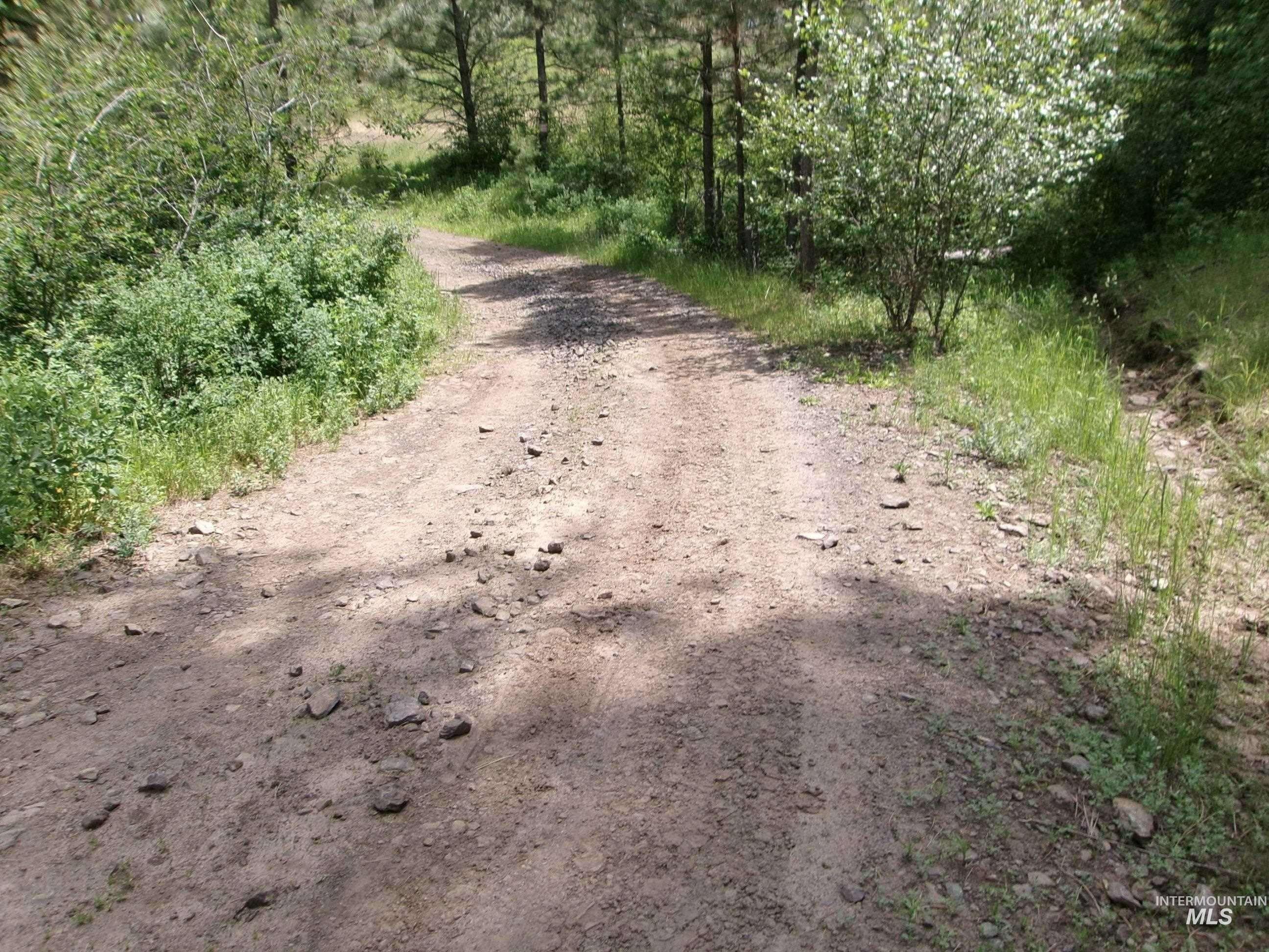 TBD Jackpine Rd, CottonWood, Idaho 83522, Land For Sale, Price $139,500, 98982935