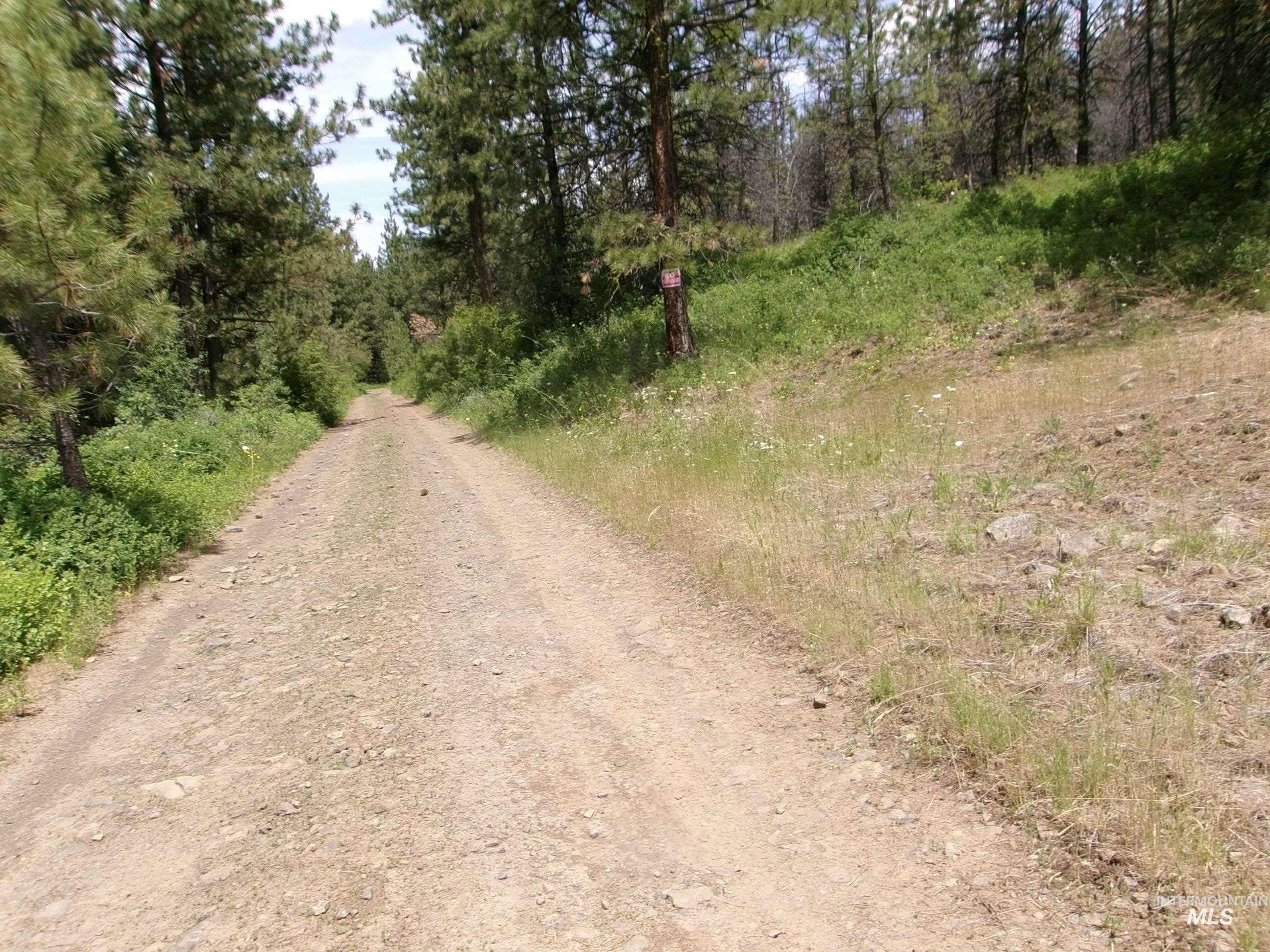 TBD Jackpine Rd, CottonWood, Idaho 83522, Land For Sale, Price $139,500, 98982935
