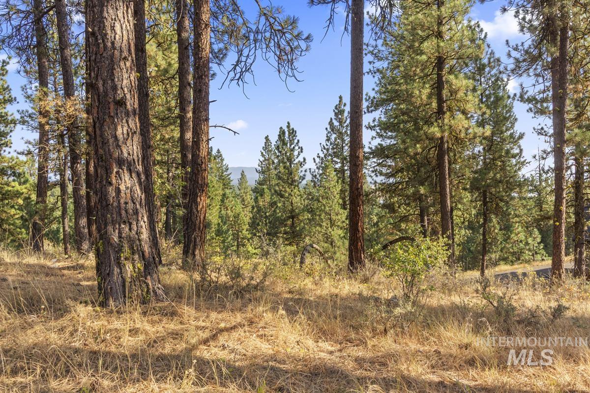 20 Joshua Drive, Cascade, Idaho 83611, Land For Sale, Price $240,000, 98982953