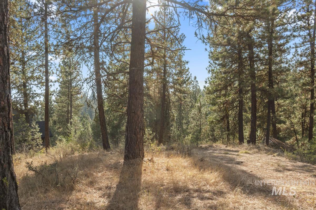 20 Joshua Drive, Cascade, Idaho 83611, Land For Sale, Price $240,000, 98982953