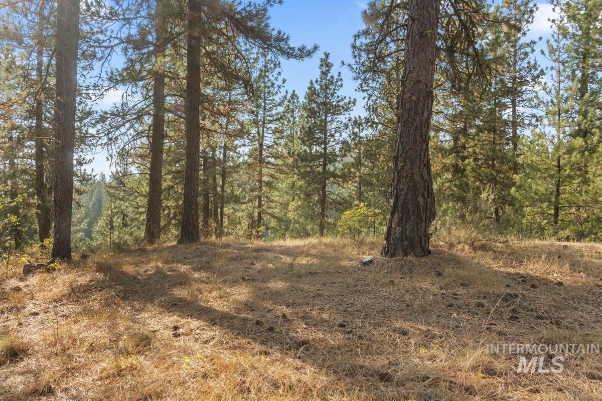 20 Joshua Drive, Cascade, Idaho 83611, Land For Sale, Price $240,000, 98982953