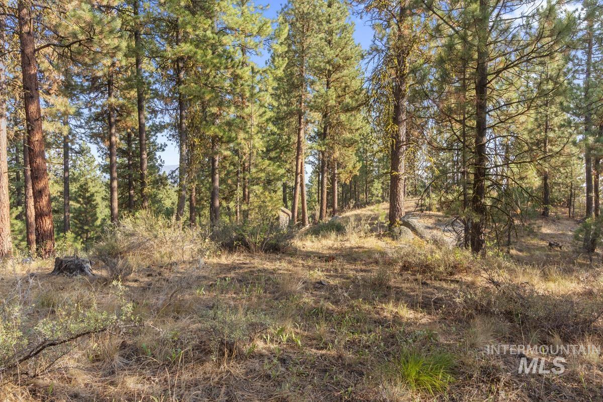 20 Joshua Drive, Cascade, Idaho 83611, Land For Sale, Price $240,000, 98982953