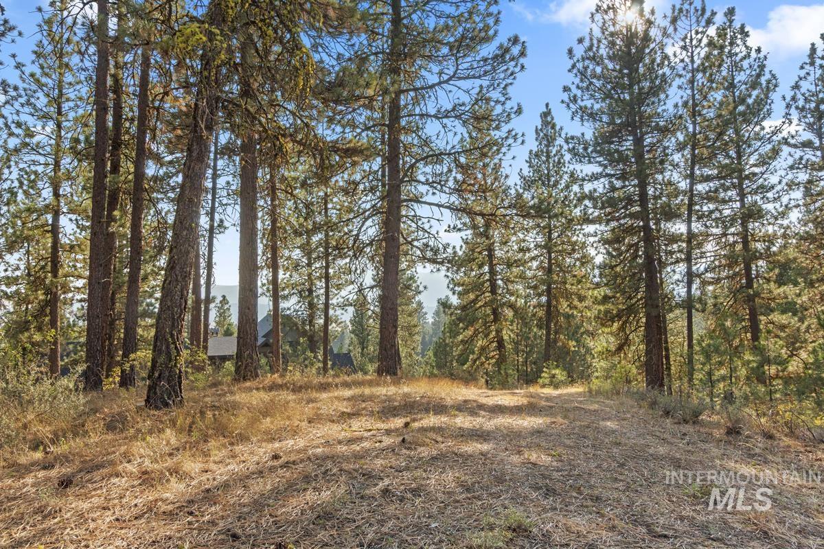 20 Joshua Drive, Cascade, Idaho 83611, Land For Sale, Price $240,000, 98982953
