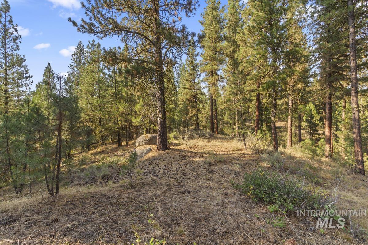 20 Joshua Drive, Cascade, Idaho 83611, Land For Sale, Price $240,000, 98982953