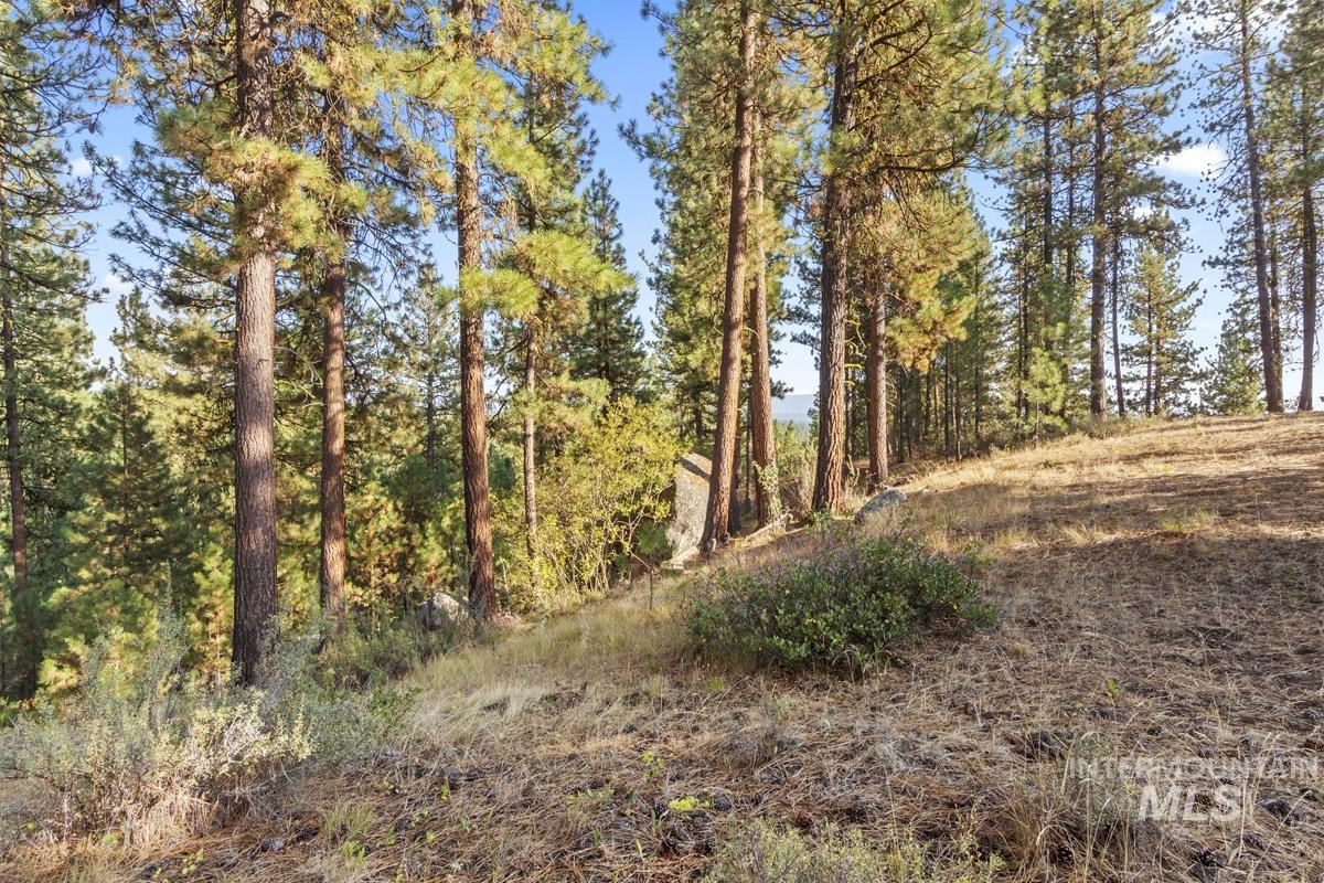 20 Joshua Drive, Cascade, Idaho 83611, Land For Sale, Price $240,000, 98982953