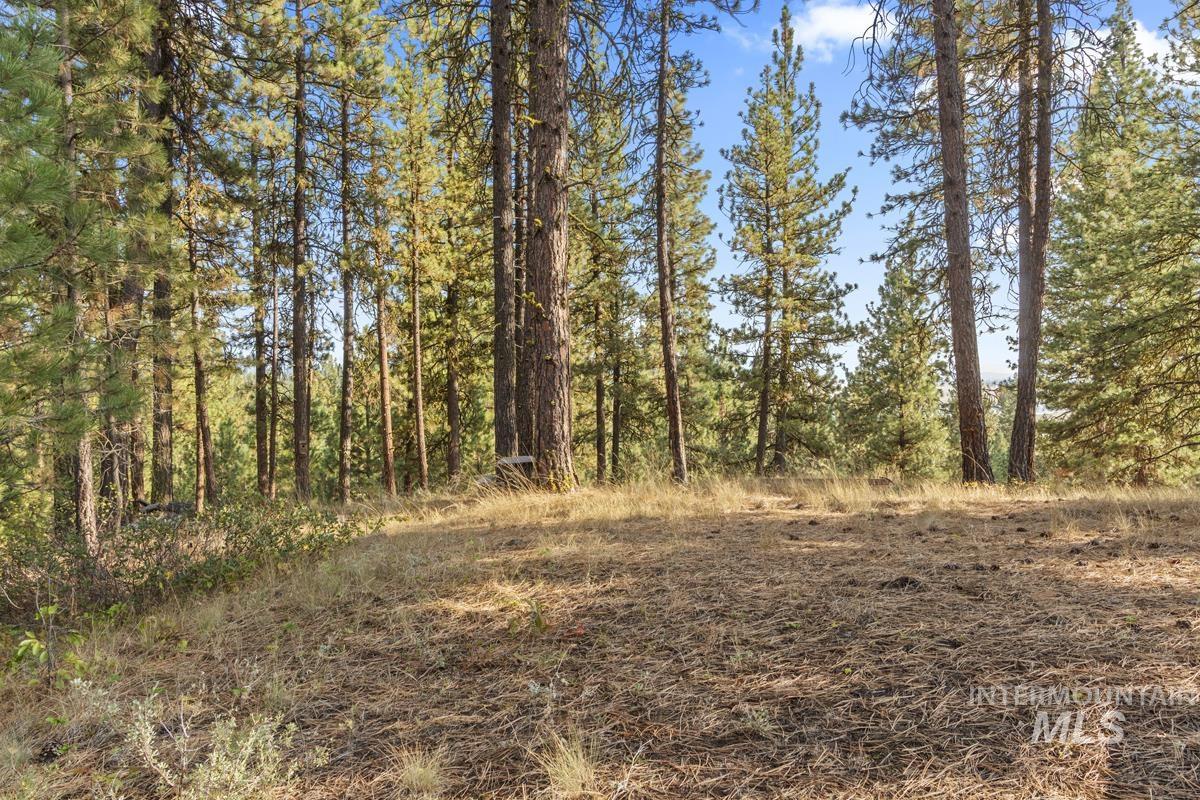20 Joshua Drive, Cascade, Idaho 83611, Land For Sale, Price $240,000, 98982953