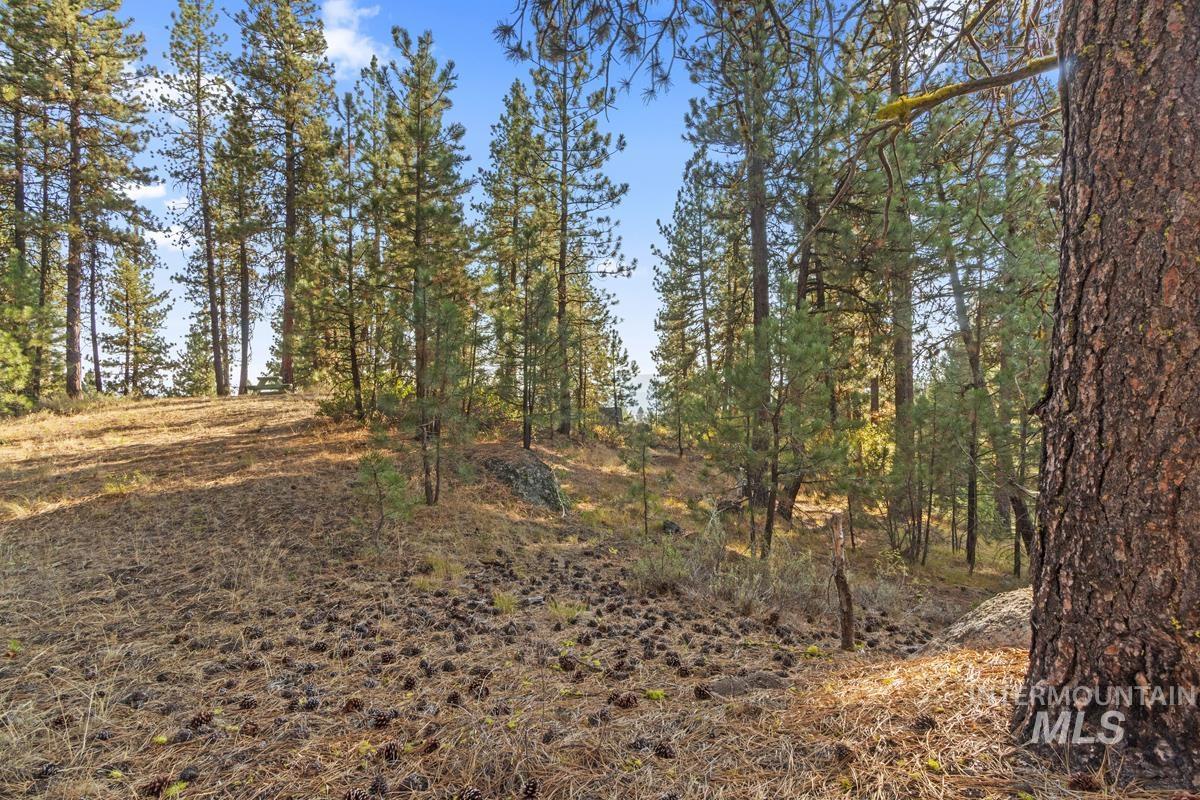 20 Joshua Drive, Cascade, Idaho 83611, Land For Sale, Price $240,000, 98982953