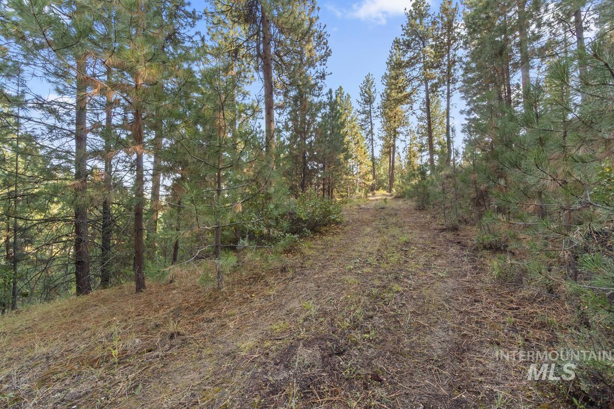 20 Joshua Drive, Cascade, Idaho 83611, Land For Sale, Price $240,000, 98982953