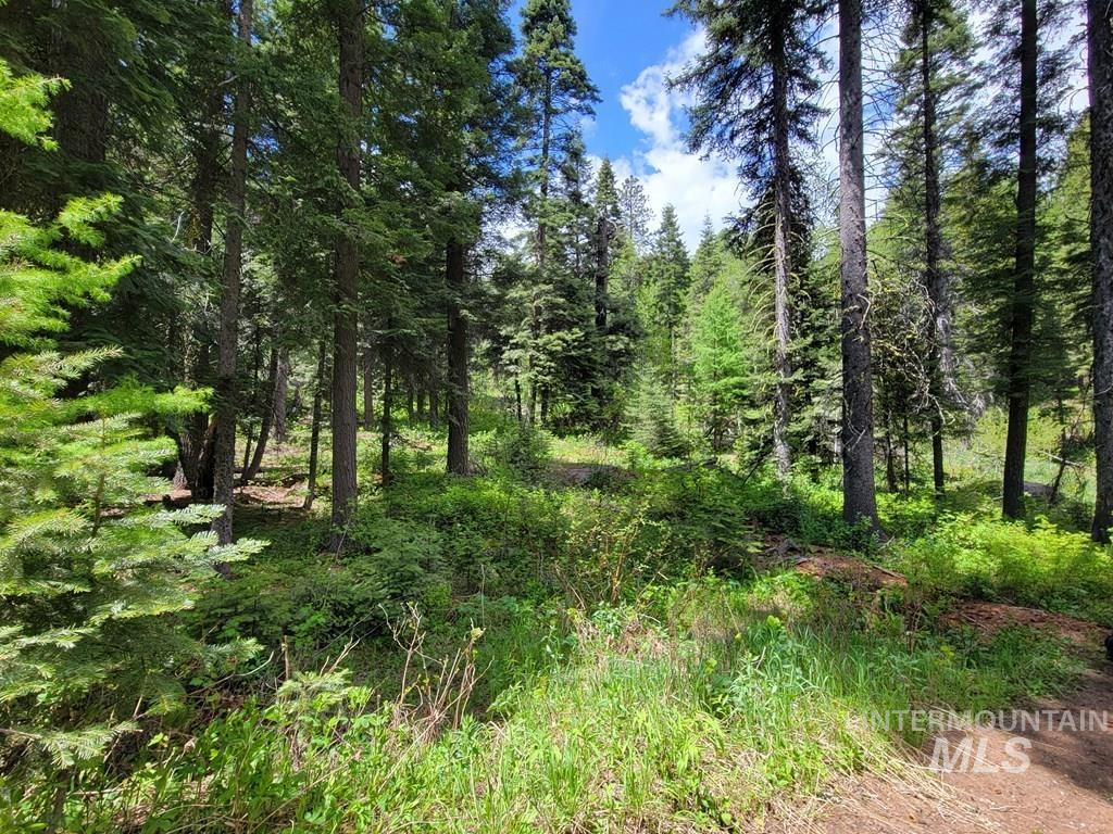 32 Arling Trail, Donnelly, Idaho 83615, Land For Sale, Price $199,000,MLS 98982961