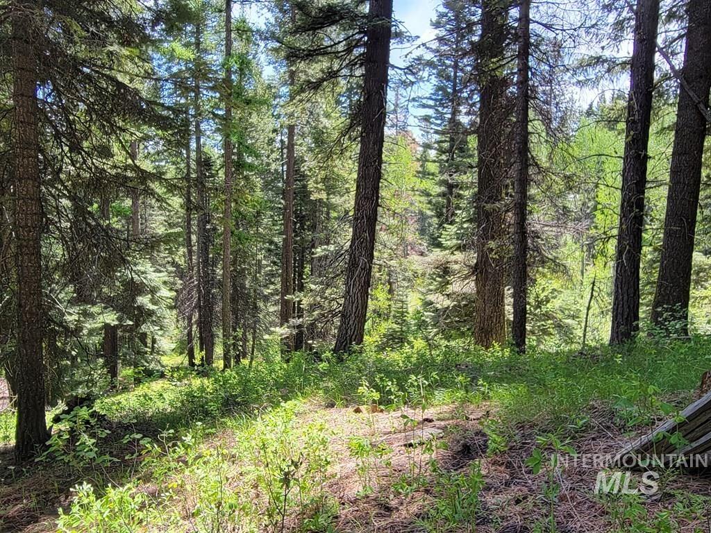 32 Arling Trail, Donnelly, Idaho 83615, Land For Sale, Price $199,000,MLS 98982961