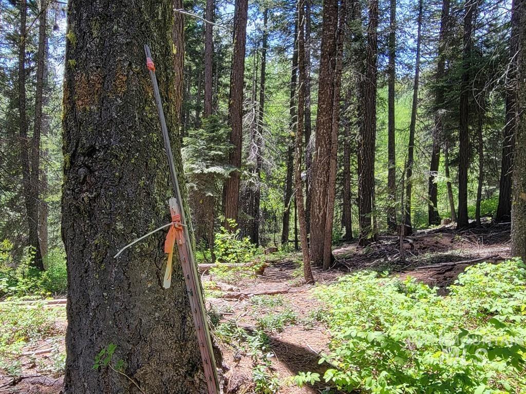 32 Arling Trail, Donnelly, Idaho 83615, Land For Sale, Price $199,000,MLS 98982961