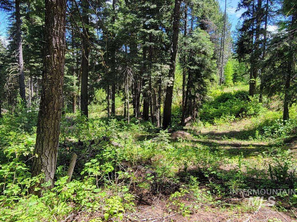 32 Arling Trail, Donnelly, Idaho 83615, Land For Sale, Price $199,000,MLS 98982961