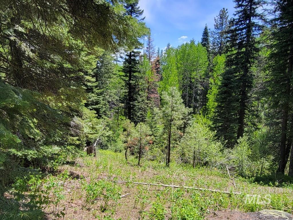 32 Arling Trail, Donnelly, Idaho 83615, Land For Sale, Price $199,000,MLS 98982961