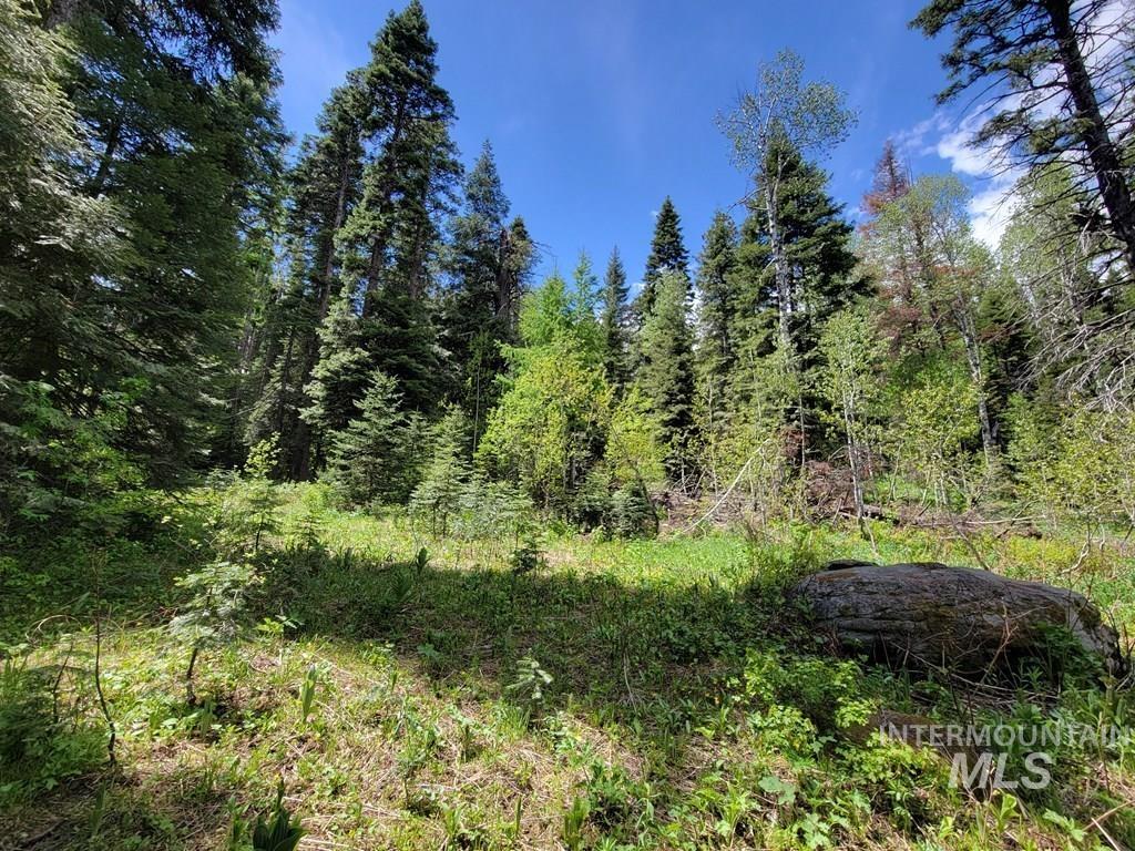 32 Arling Trail, Donnelly, Idaho 83615, Land For Sale, Price $199,000,MLS 98982961