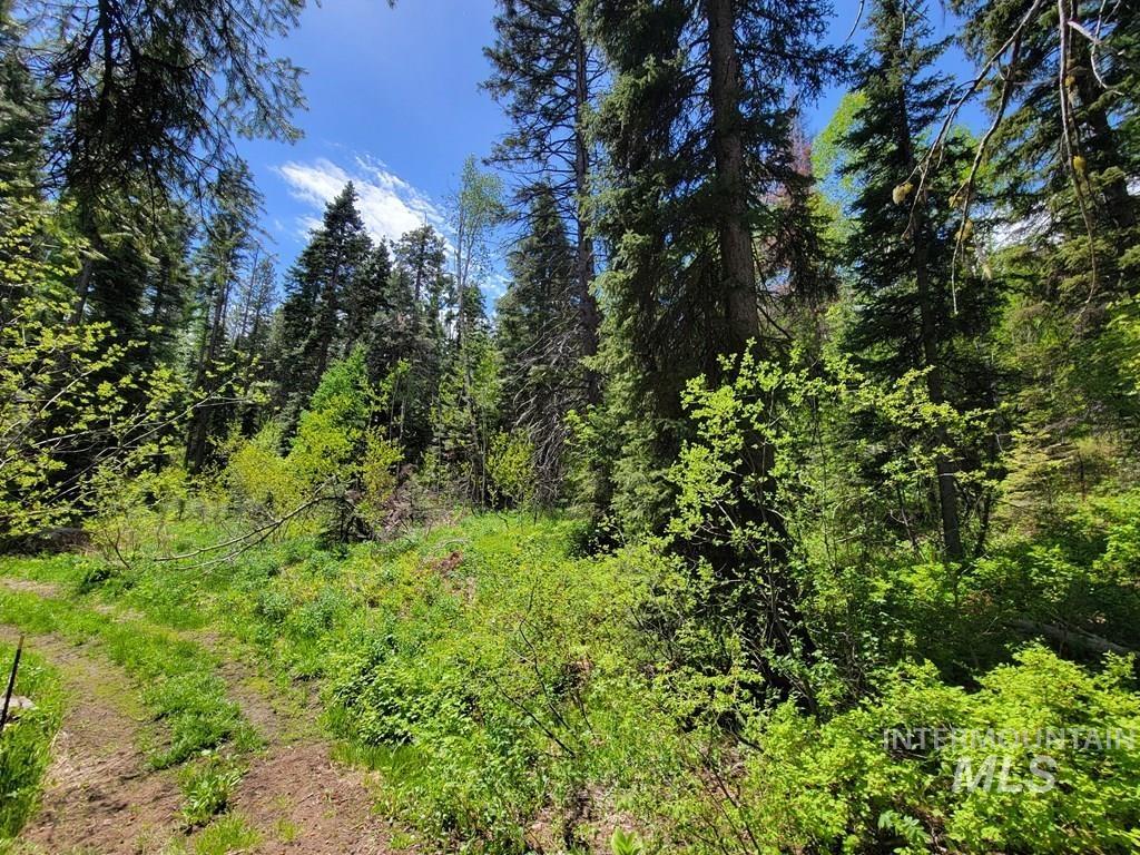 32 Arling Trail, Donnelly, Idaho 83615, Land For Sale, Price $199,000,MLS 98982961