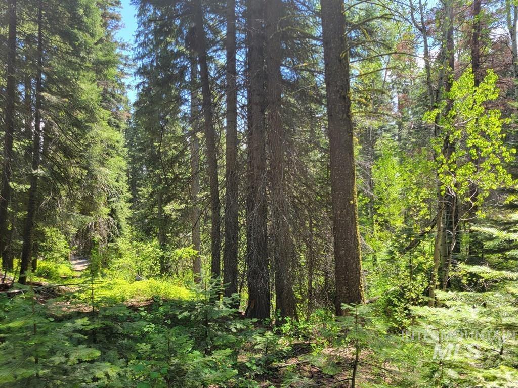 32 Arling Trail, Donnelly, Idaho 83615, Land For Sale, Price $199,000,MLS 98982961