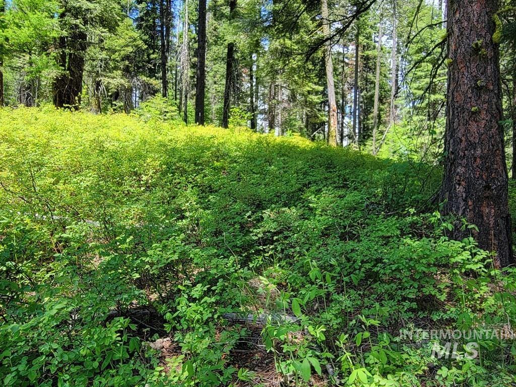 32 Arling Trail, Donnelly, Idaho 83615, Land For Sale, Price $199,000,MLS 98982961