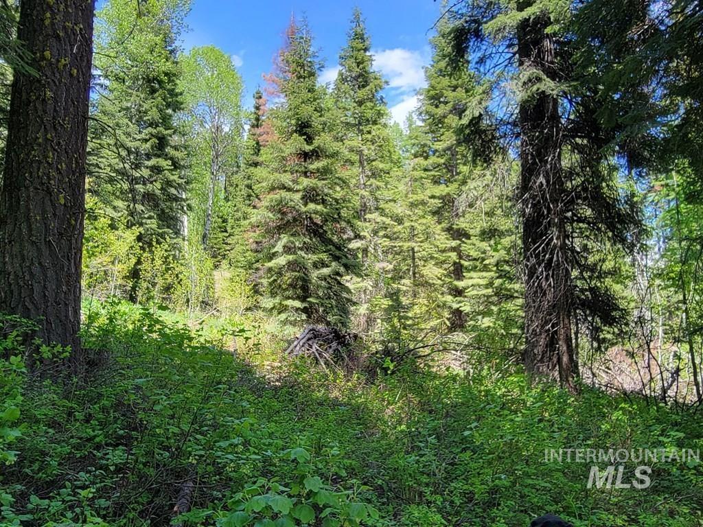 32 Arling Trail, Donnelly, Idaho 83615, Land For Sale, Price $199,000,MLS 98982961