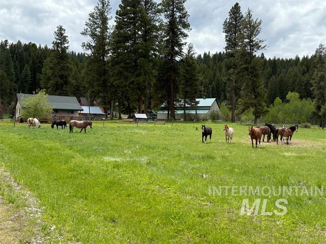 31/33 Bacon Creek Rd, Cascade, Idaho 83611, 8 Bedrooms, 9 Bathrooms, Residential For Sale, Price $2,495,000,MLS 98982973