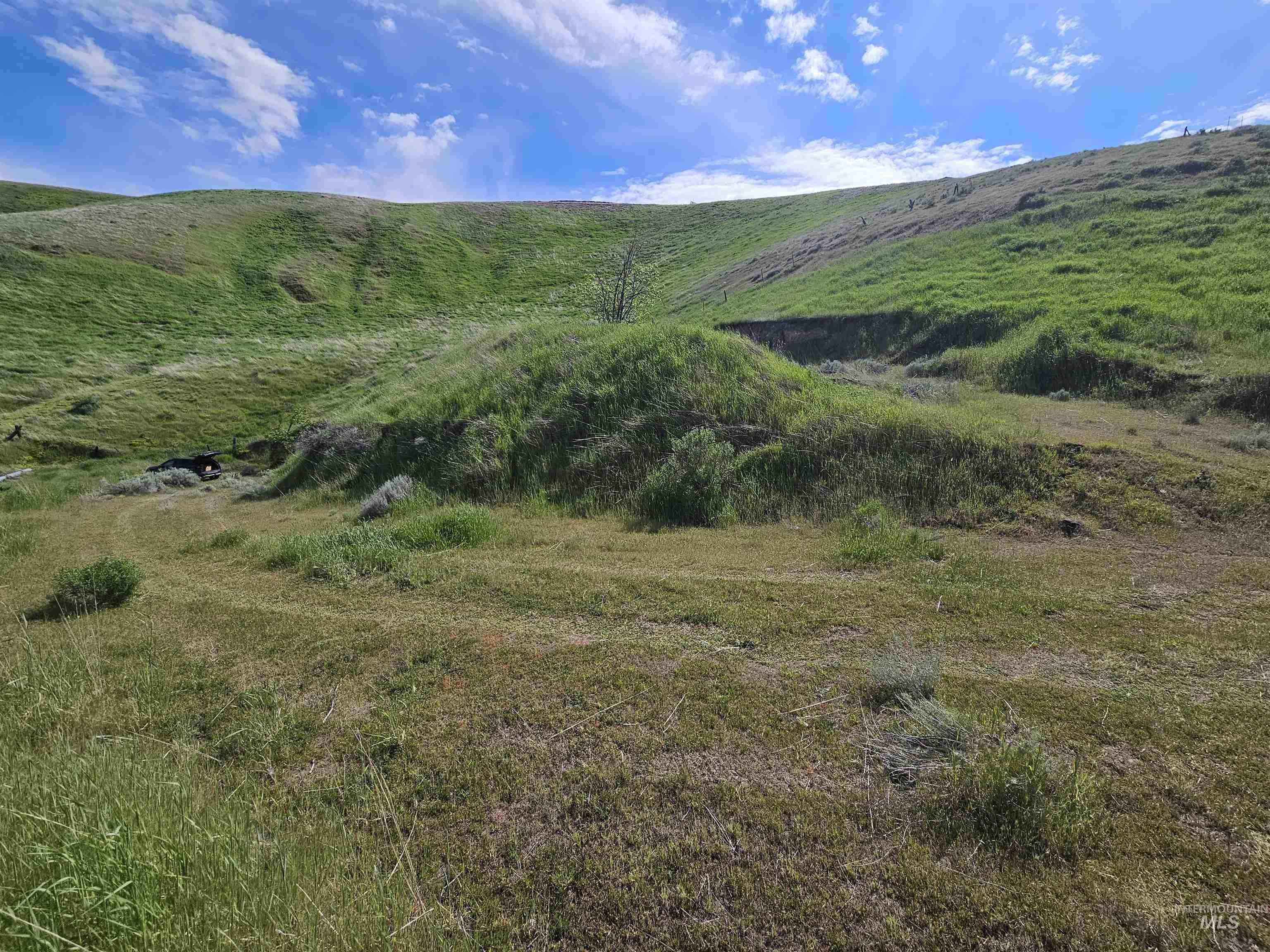 TBD Garfield St, Asotin, Washington 99402, Land For Sale, Price $175,000, 98982989
