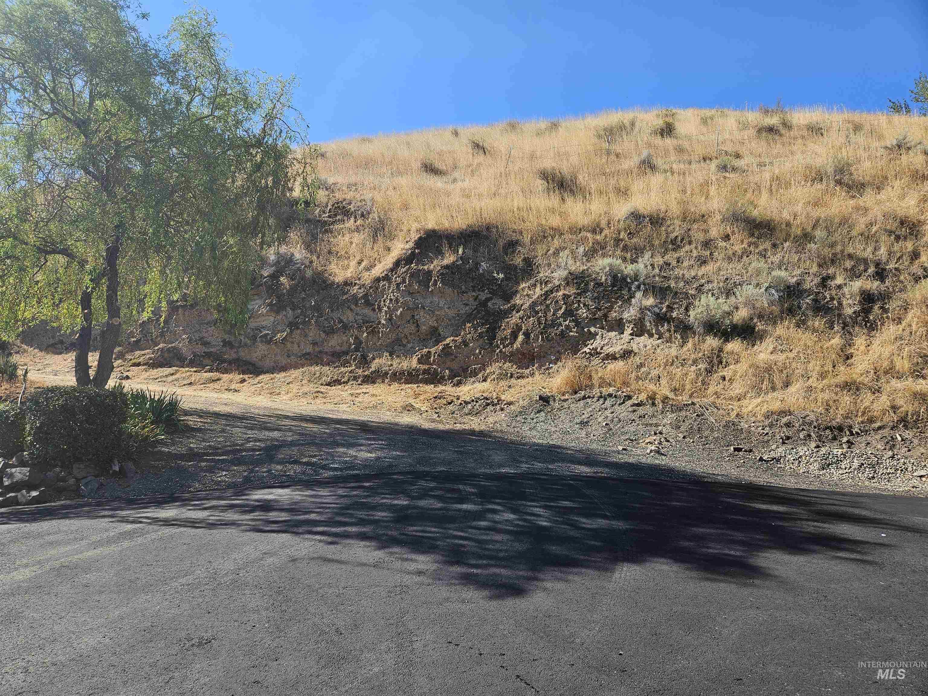 TBD Garfield St, Asotin, Washington 99402, Land For Sale, Price $175,000,MLS 98982989