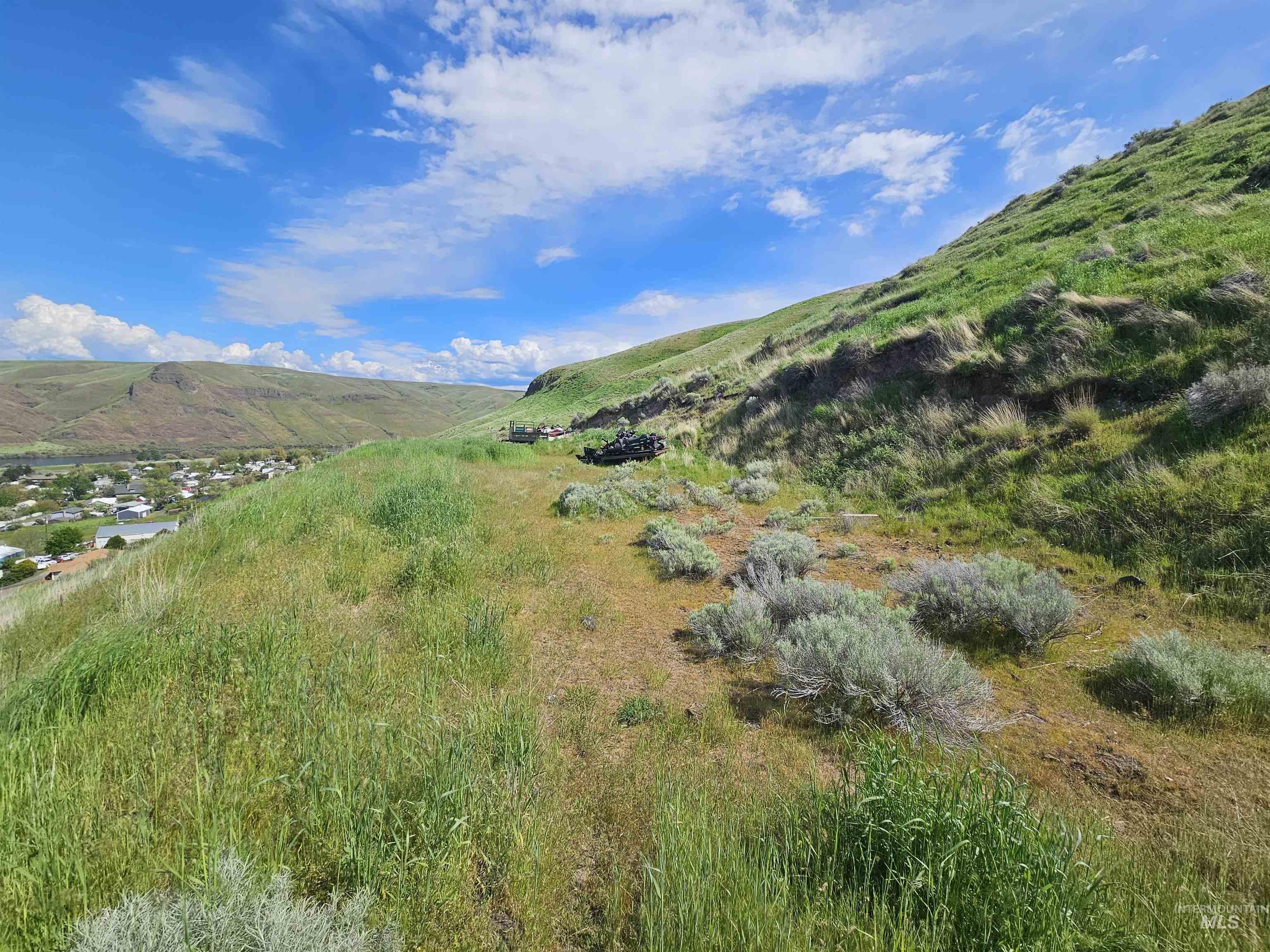 TBD Garfield St, Asotin, Washington 99402, Land For Sale, Price $175,000, 98982989