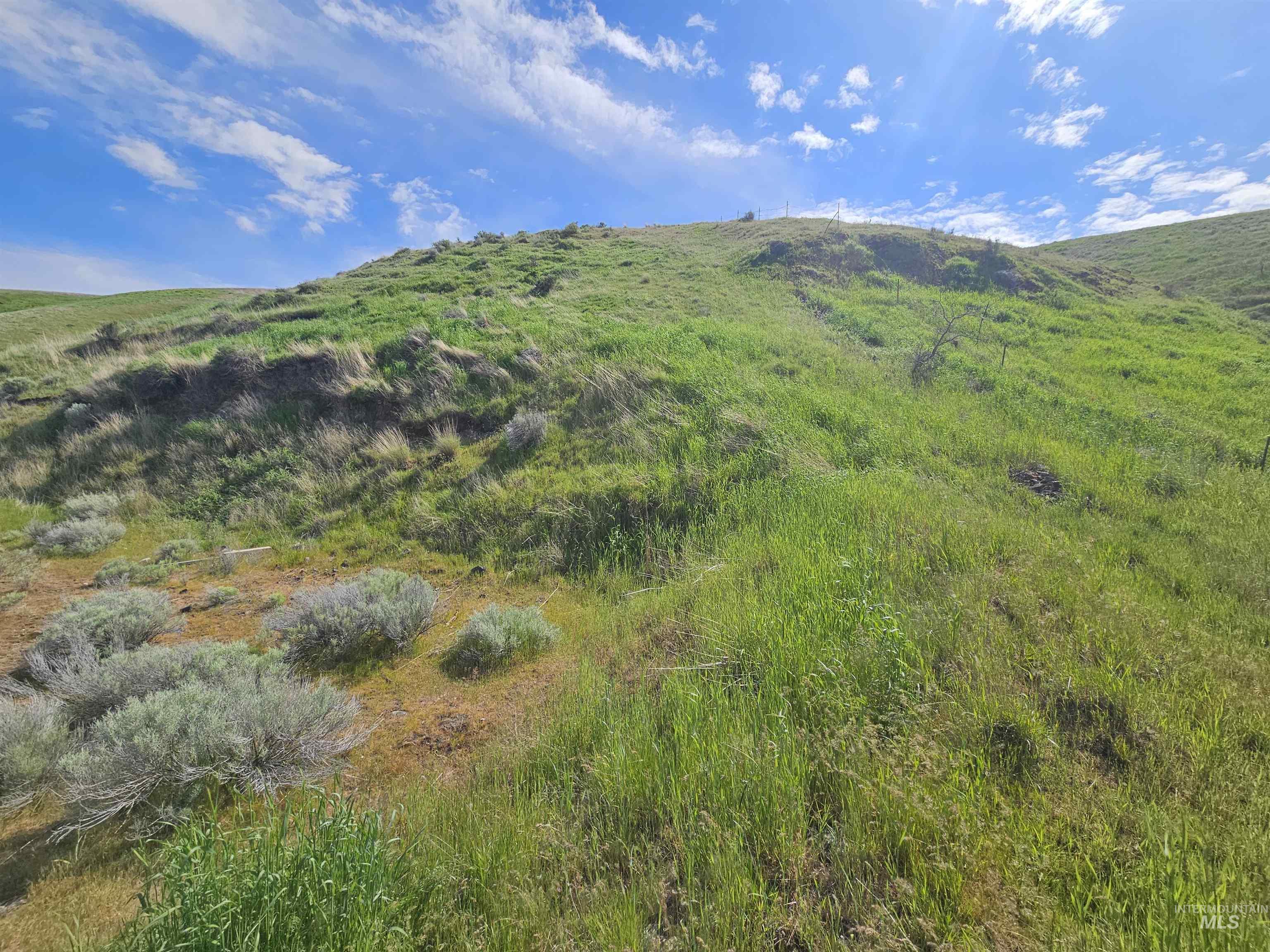 TBD Garfield St, Asotin, Washington 99402, Land For Sale, Price $175,000, 98982989