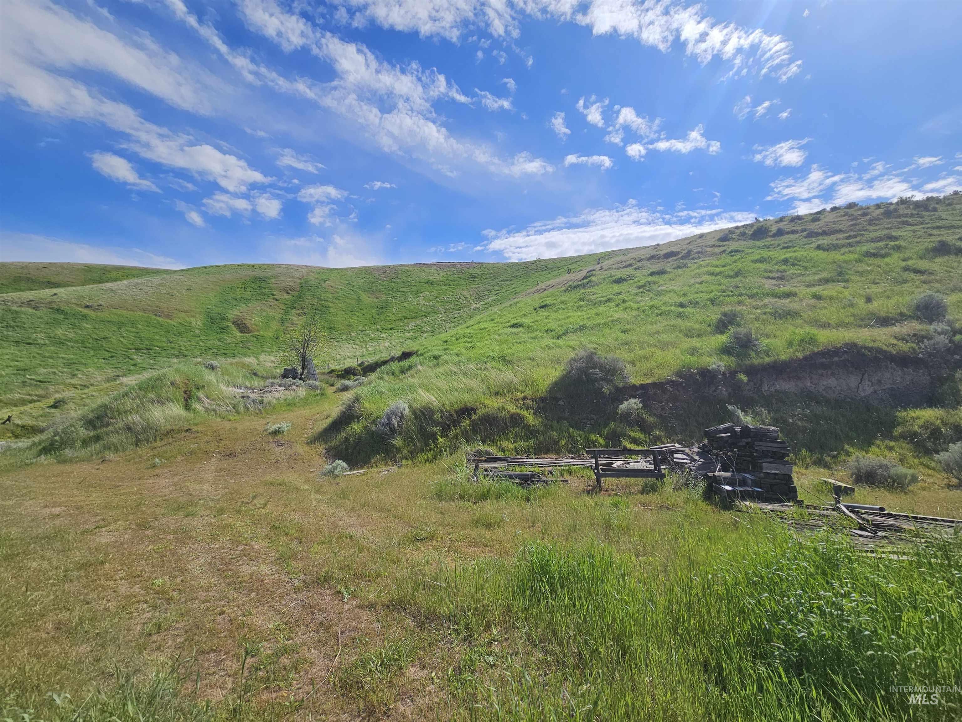 TBD Garfield St, Asotin, Washington 99402, Land For Sale, Price $175,000, 98982989