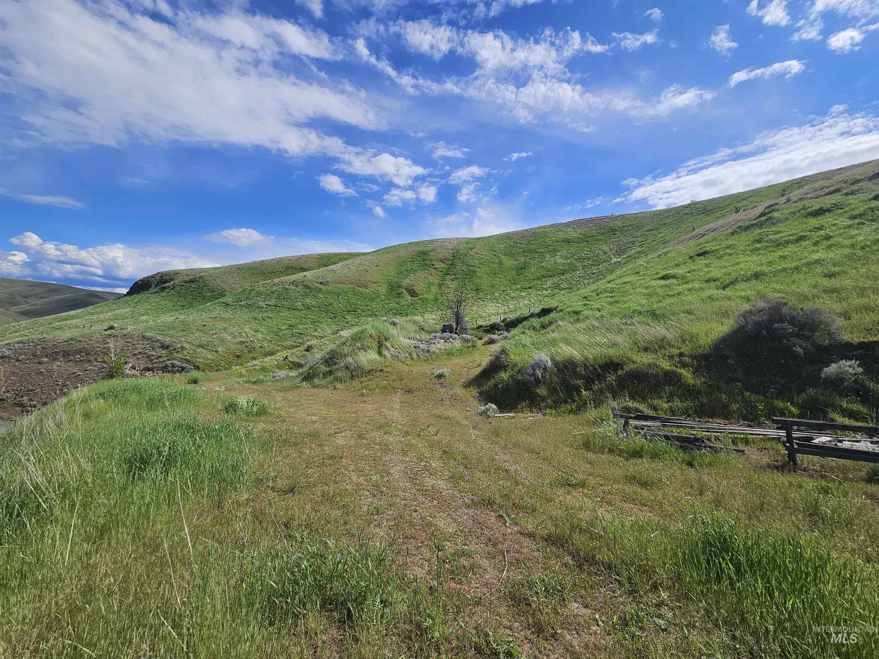 TBD Garfield St, Asotin, Washington 99402, Land For Sale, Price $175,000, 98982989
