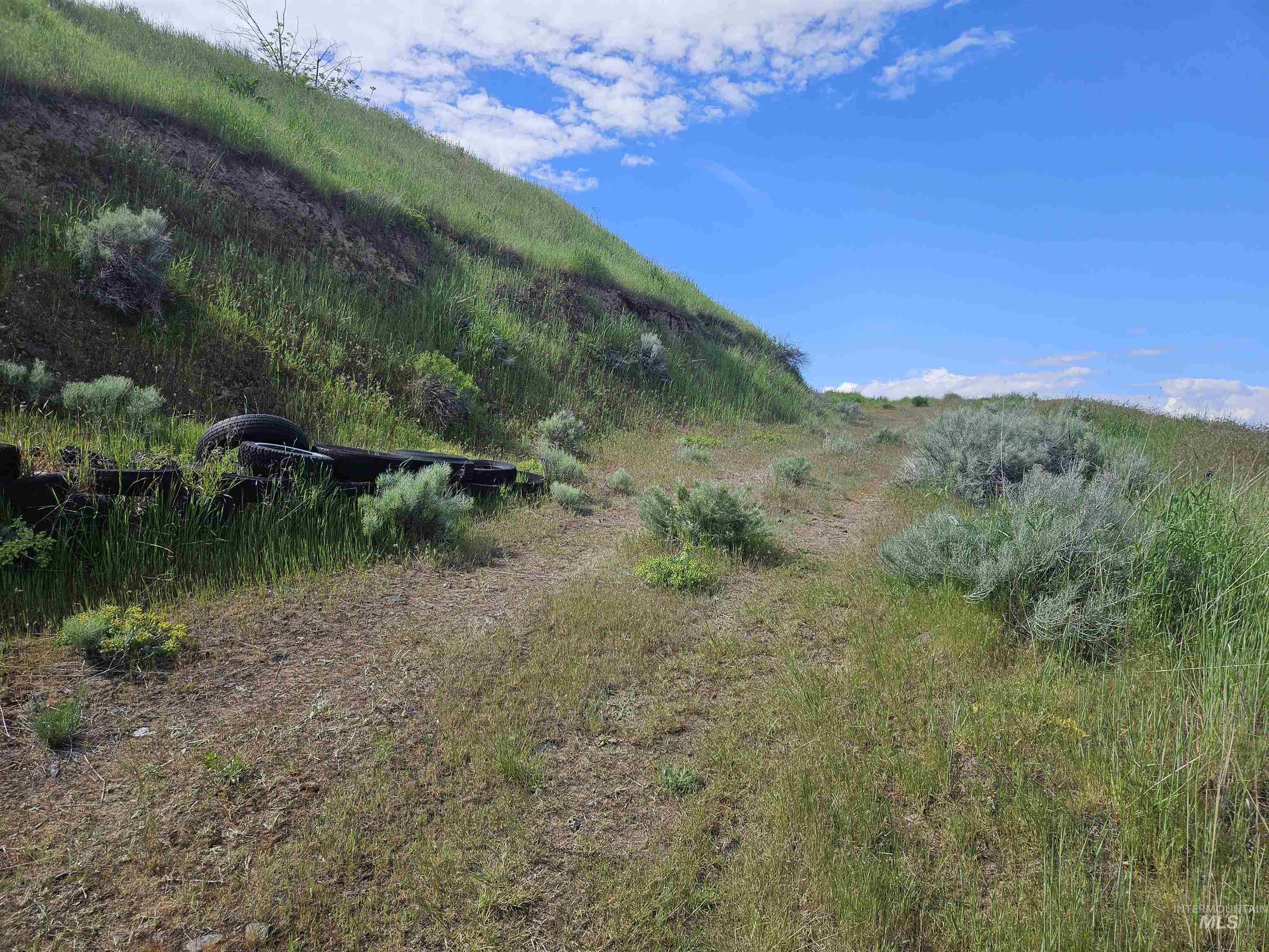 TBD Garfield St, Asotin, Washington 99402, Land For Sale, Price $175,000, 98982989