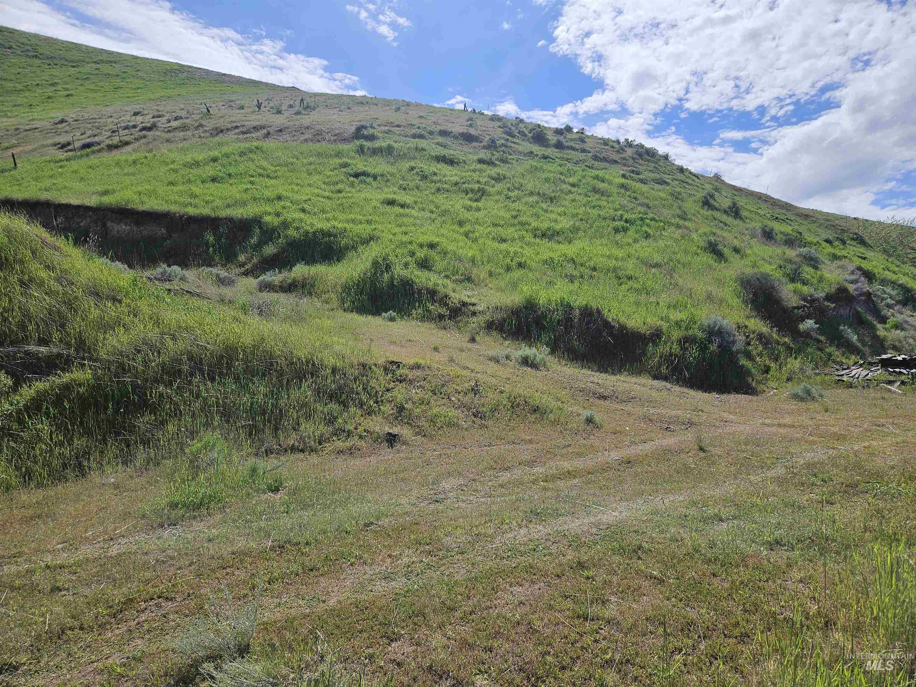 TBD Garfield St, Asotin, Washington 99402, Land For Sale, Price $175,000, 98982989