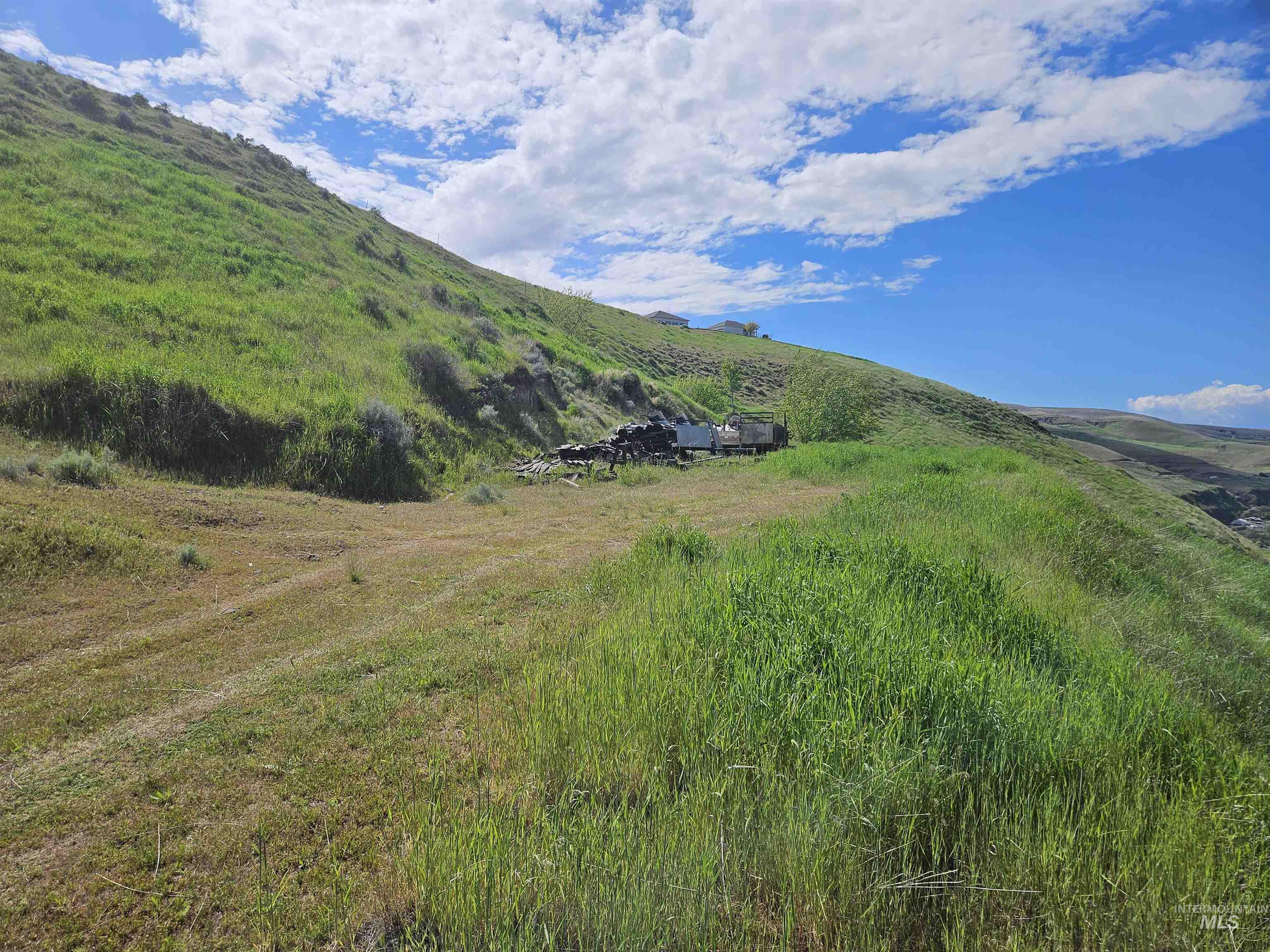 TBD Garfield St, Asotin, Washington 99402, Land For Sale, Price $175,000, 98982989