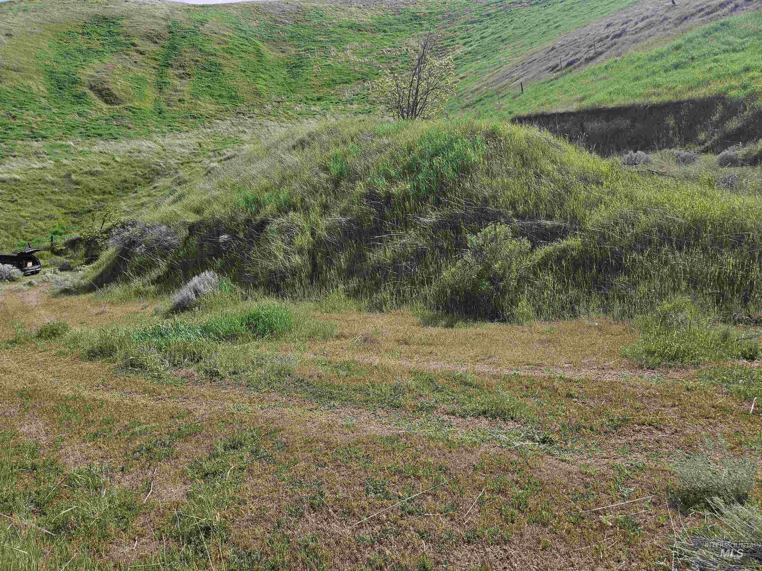 TBD Garfield St, Asotin, Washington 99402, Land For Sale, Price $175,000, 98982989