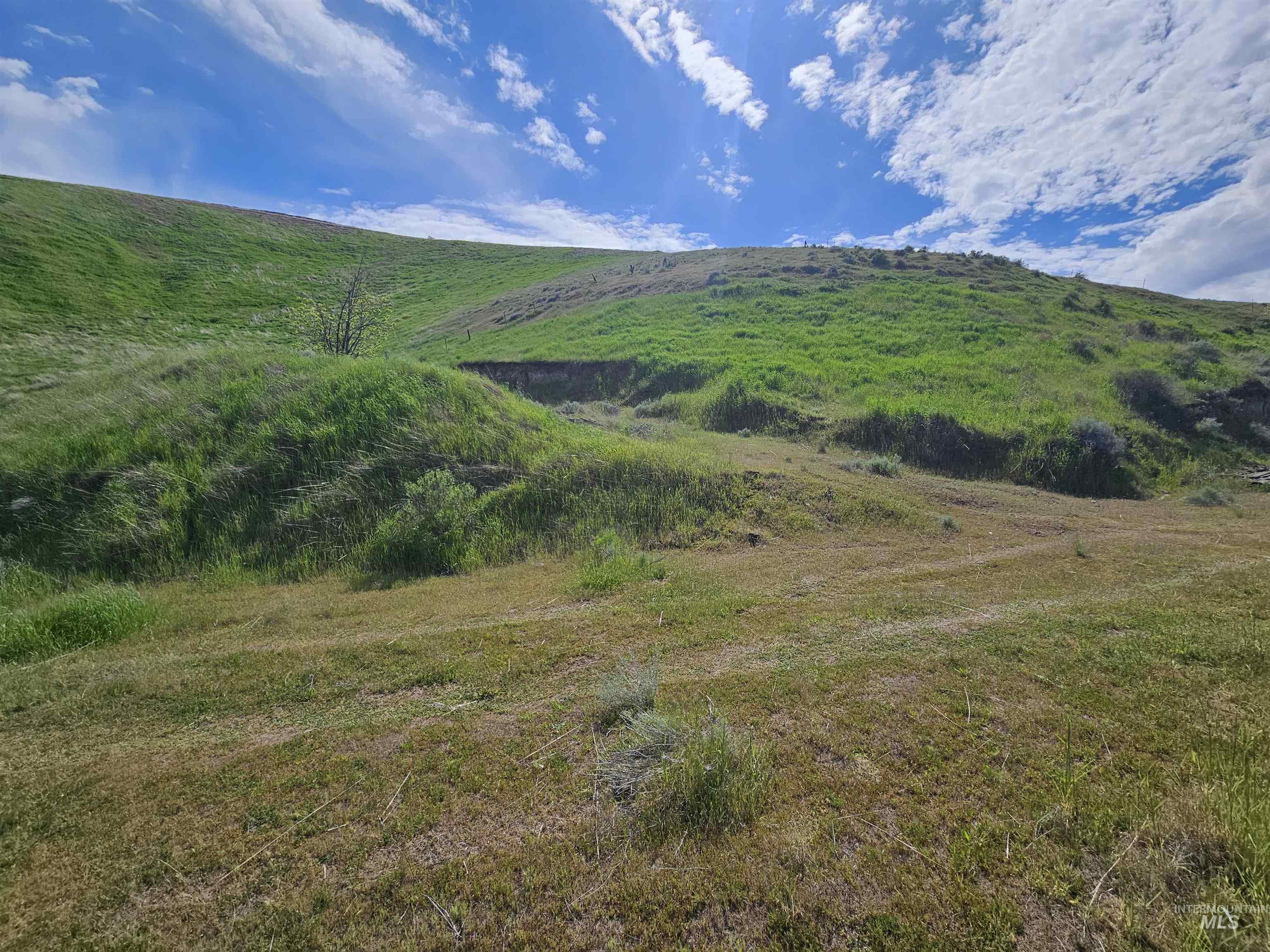 TBD Garfield St, Asotin, Washington 99402, Land For Sale, Price $175,000, 98982989