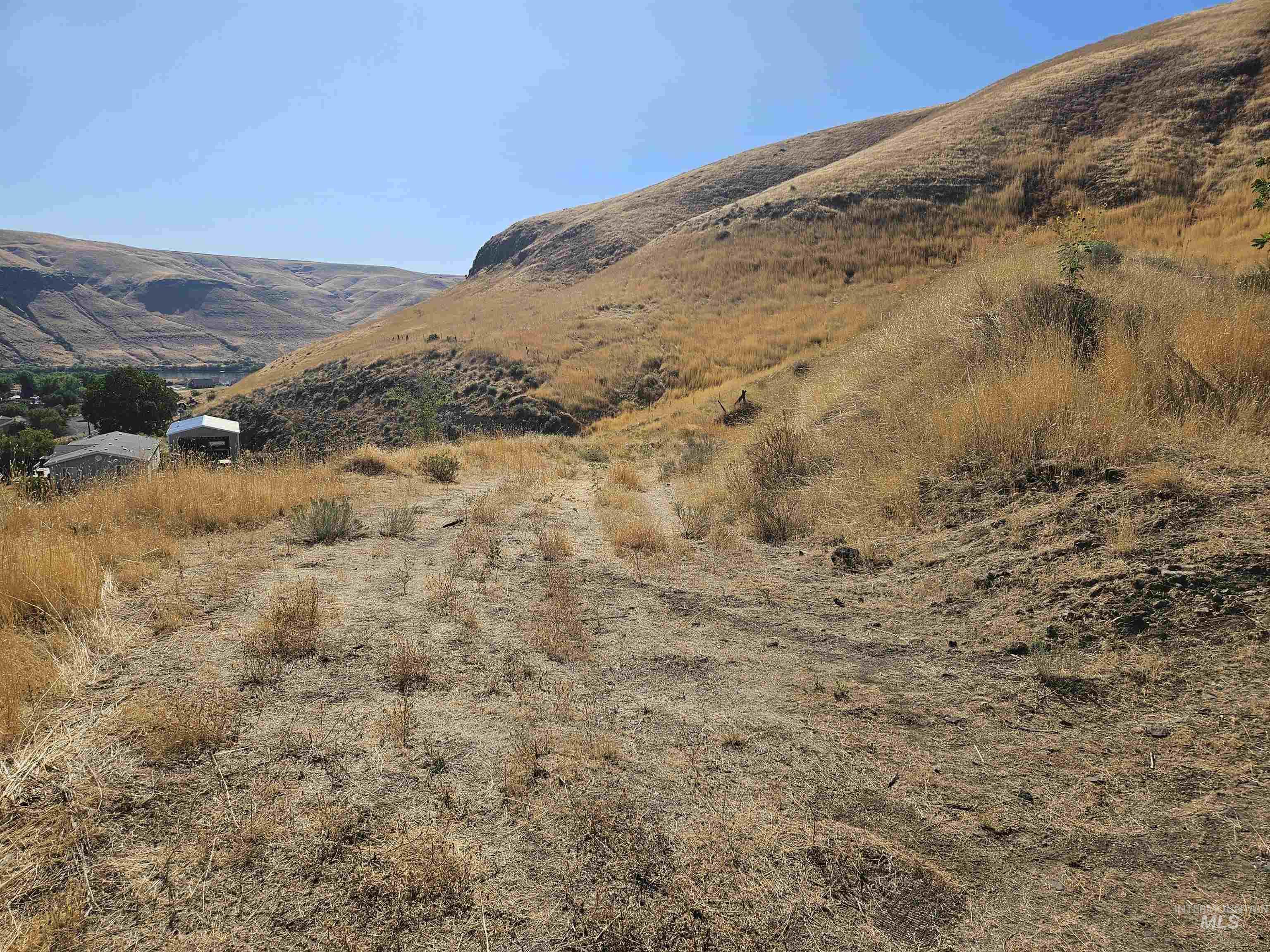 TBD Garfield St, Asotin, Washington 99402, Land For Sale, Price $175,000,MLS 98982989